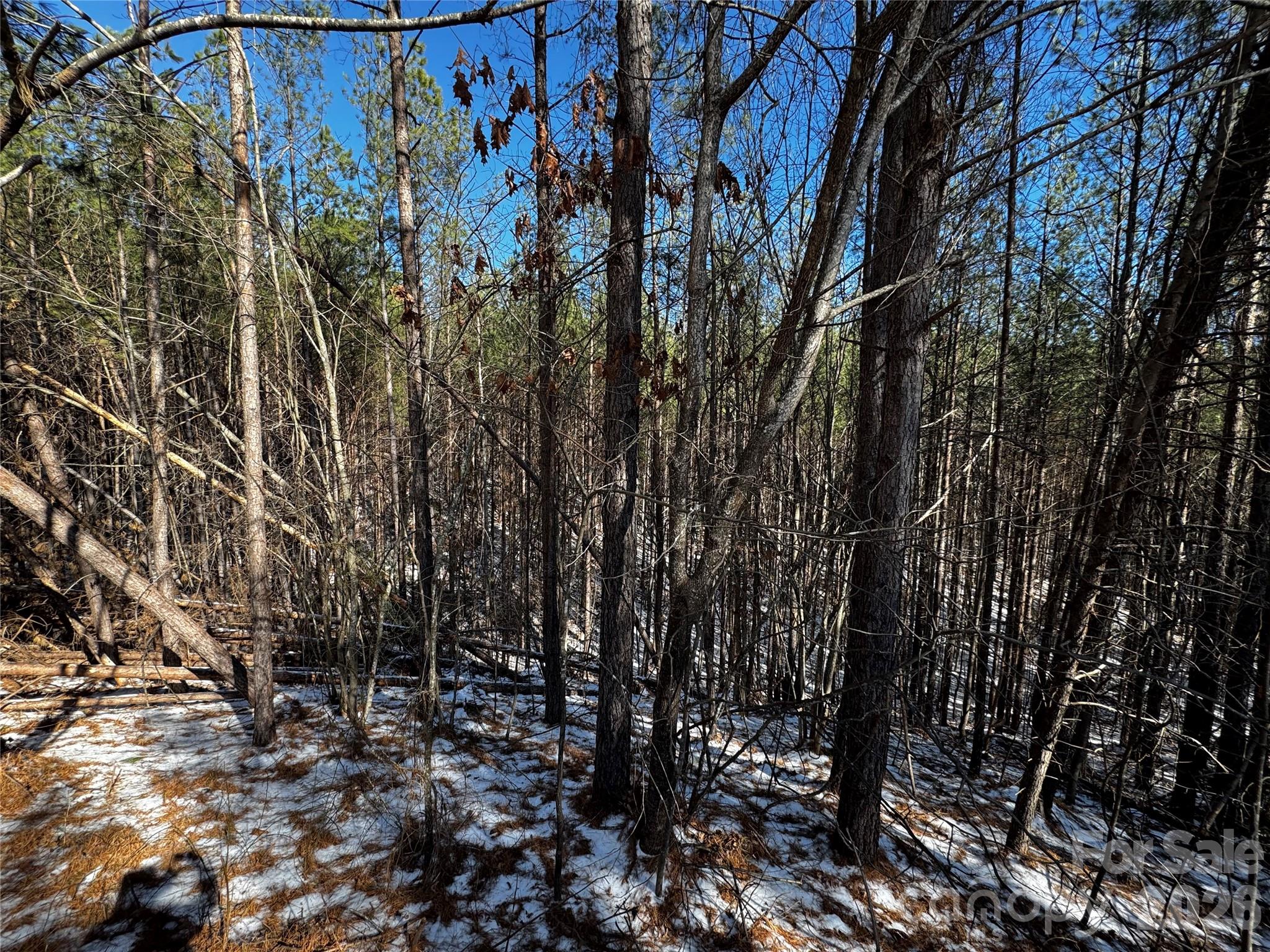 Contuck Preserve - Land