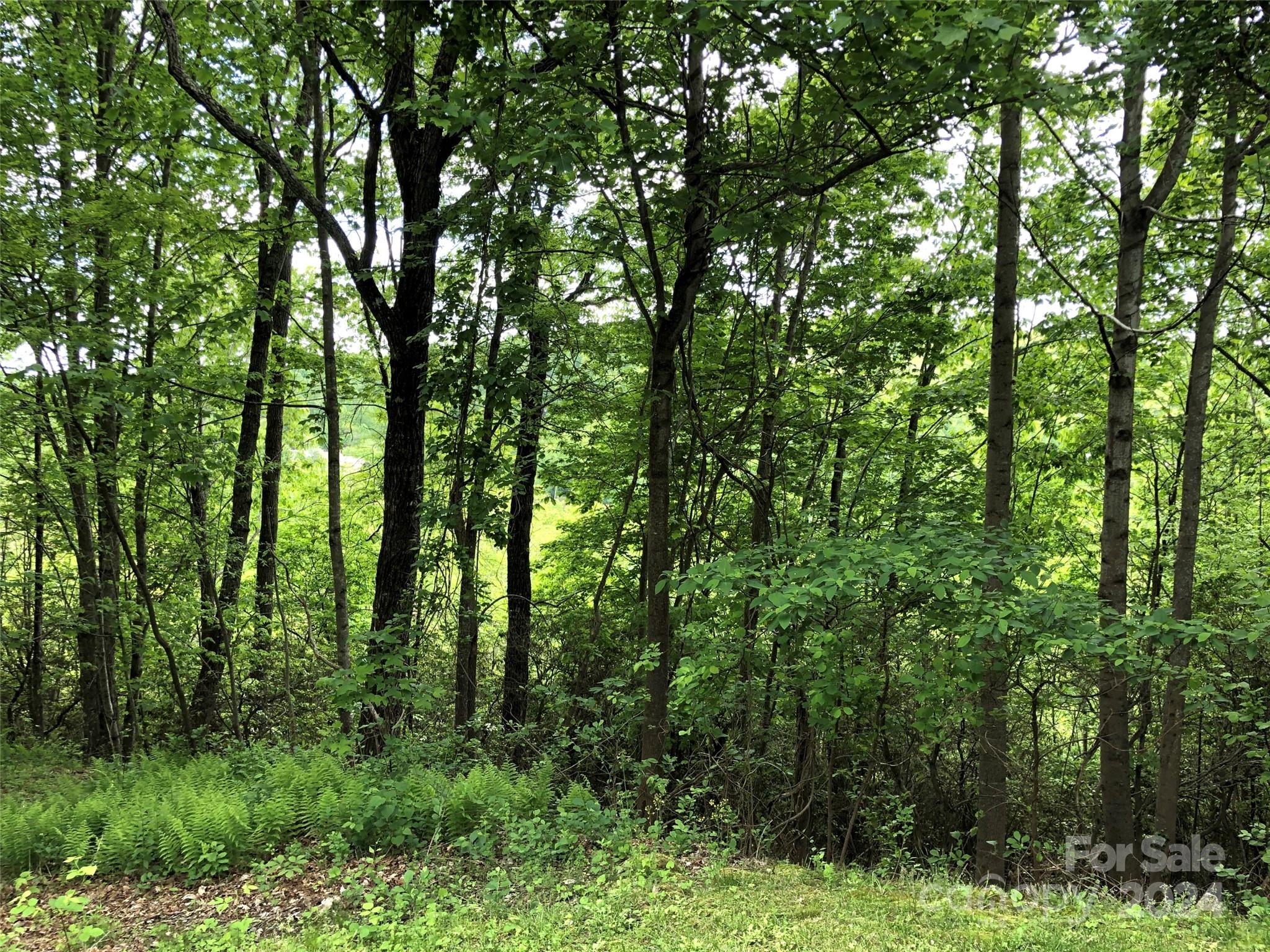 Champion Hills - Land
