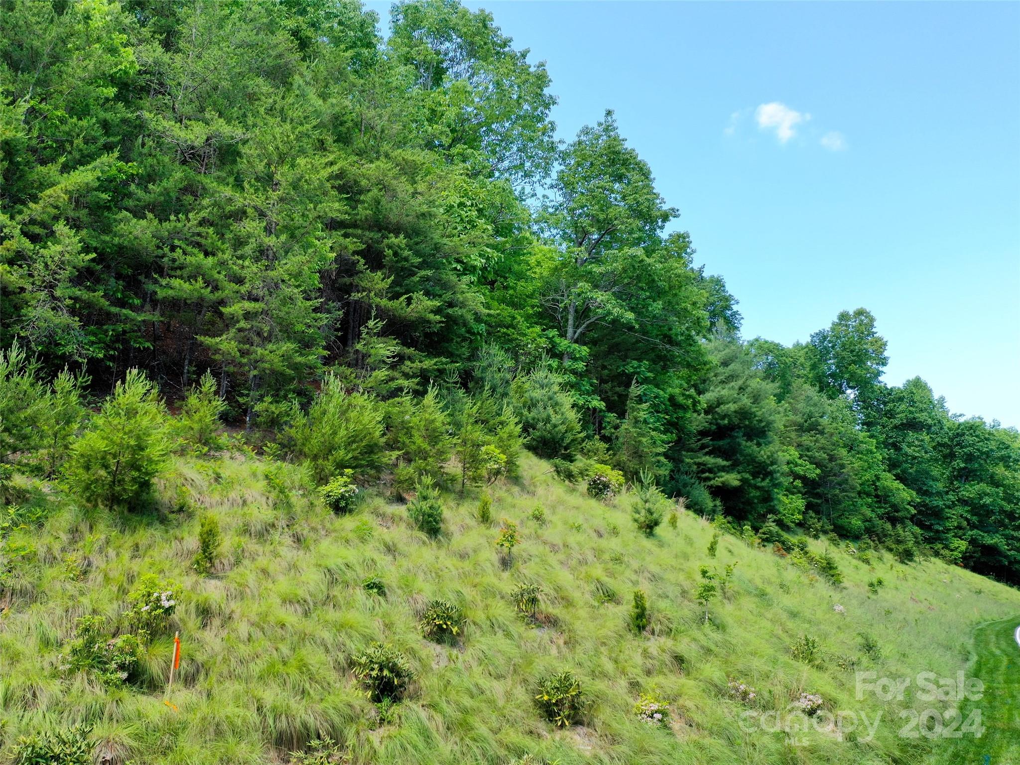 Champion Hills - Land