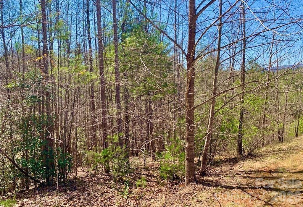 The Coves Mountain River Club - Land