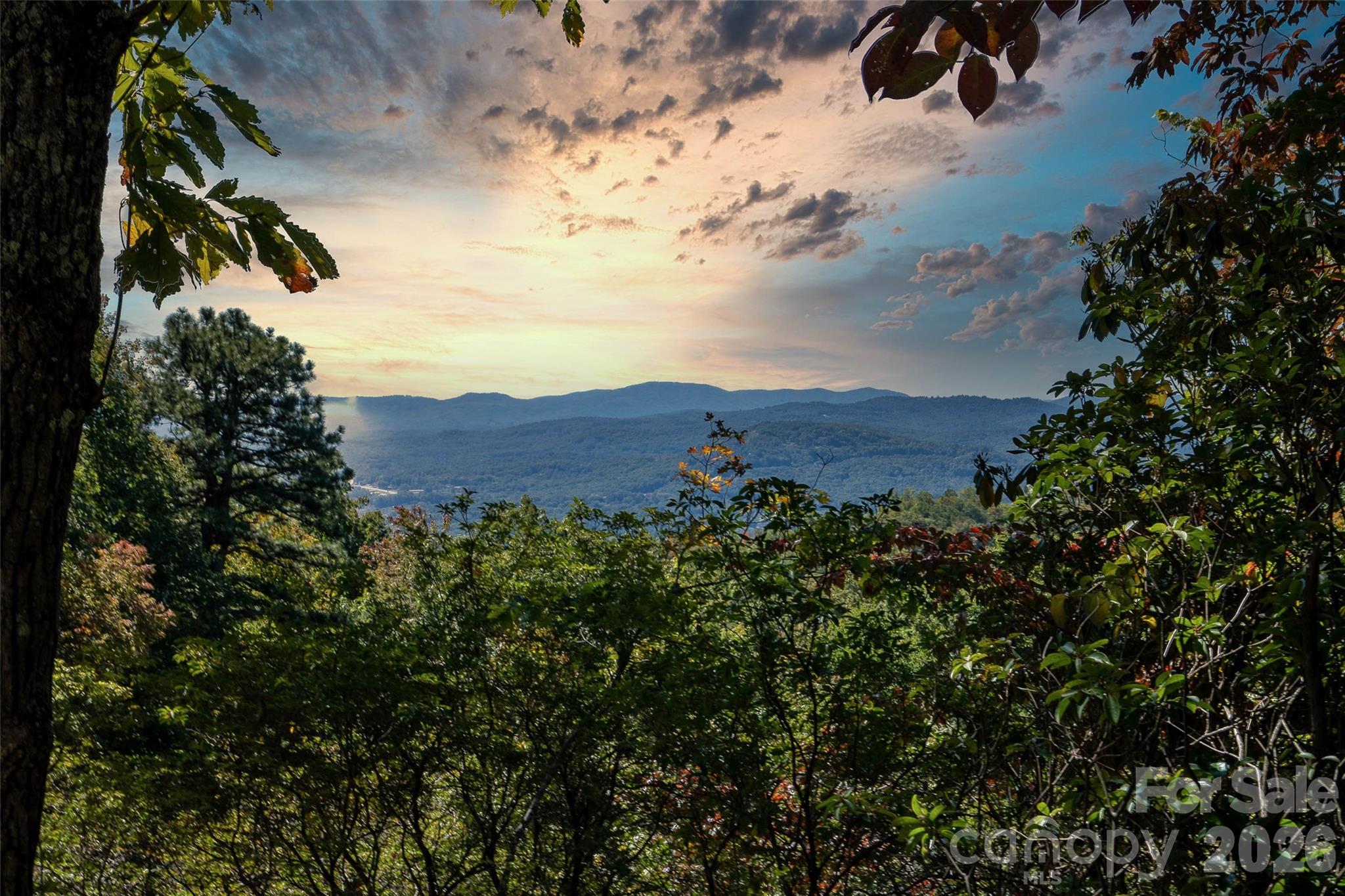 Build your dream mountain home on this exceptional southwest-facing homesite in Couch Mountain, where long-range mountain views, abundant natural light, and spectacular sunsets create an unforgettable setting.

This private lot backs up to conserved land and is framed by mature hardwoods, offering both beauty and lasting privacy. Three unique rock formations provide opportunities to create a distinctive driveway entrance, landscape feature, or architectural focal point. Additionally, several attractive boulders near the front of the property were intentionally placed there for future landscaping and garden design. Inspired by traditional Japanese garden "rock setting" techniques, these stones were selected and relocated to the site rather than naturally emerging from the ground.

The lot has already been cleared for site work, soil testing is complete, and it is approved for a 4-bedroom septic system.

A gentle slope offers flexibility for a walkout basement, crawl space, or single-level home design. A builder has performed an initial evaluation in 6 excavated test pits in the proposed building envelope and determined that surface rock was removed without the need for drilling. A 2-foot topographic survey is available, and underground power is already in place. Chickens and bees are permitted.

Residents enjoy access to a 138-acre nature preserve, private hiking trails, a mountaintop park, community gardens, greenhouse, vegetable stand, and apiaries. Conveniently located between Asheville and Hendersonville, you'll enjoy easy access to dining, outdoor recreation, and everything Western North Carolina has to offer.

A rare opportunity to build in a mountain community that blends natural beauty, privacy, and connection to the land.