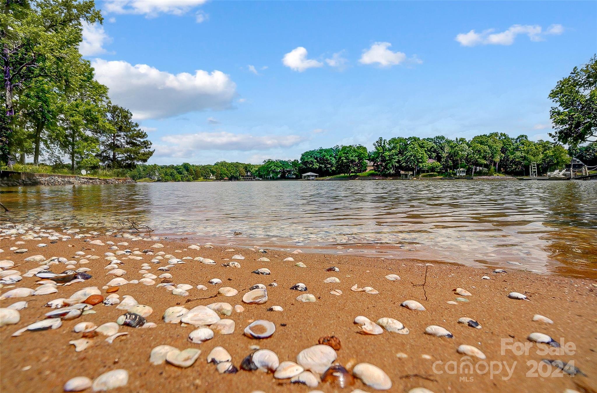 Lake Wylie - Residential