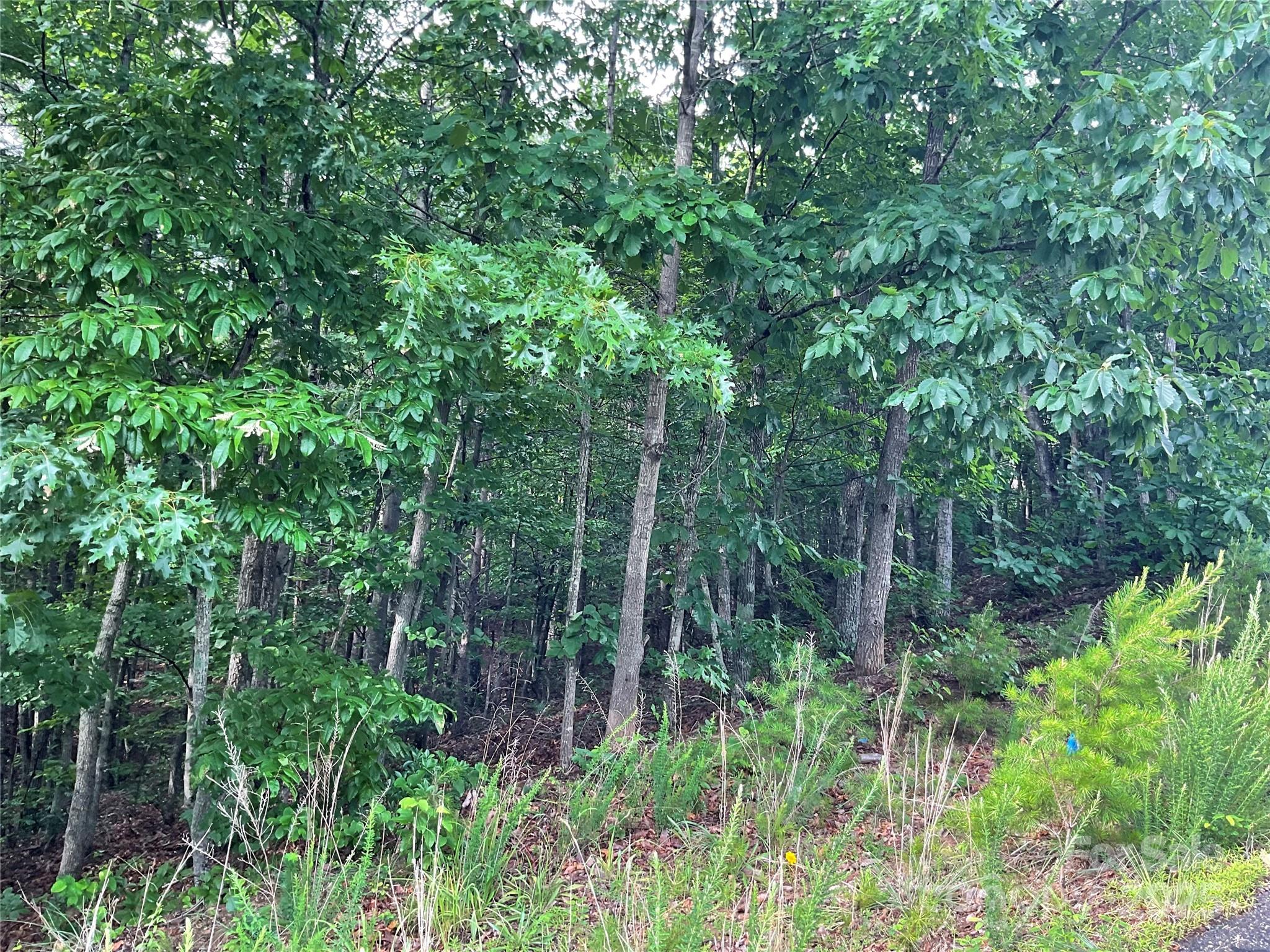Pineknoll - Land
