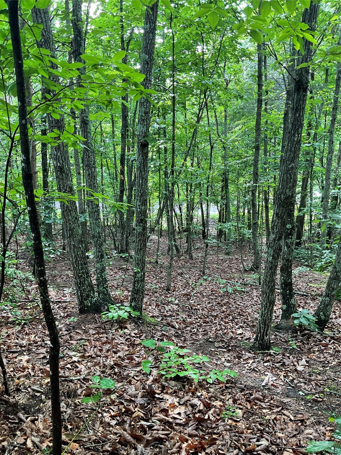 Pineknoll - Land