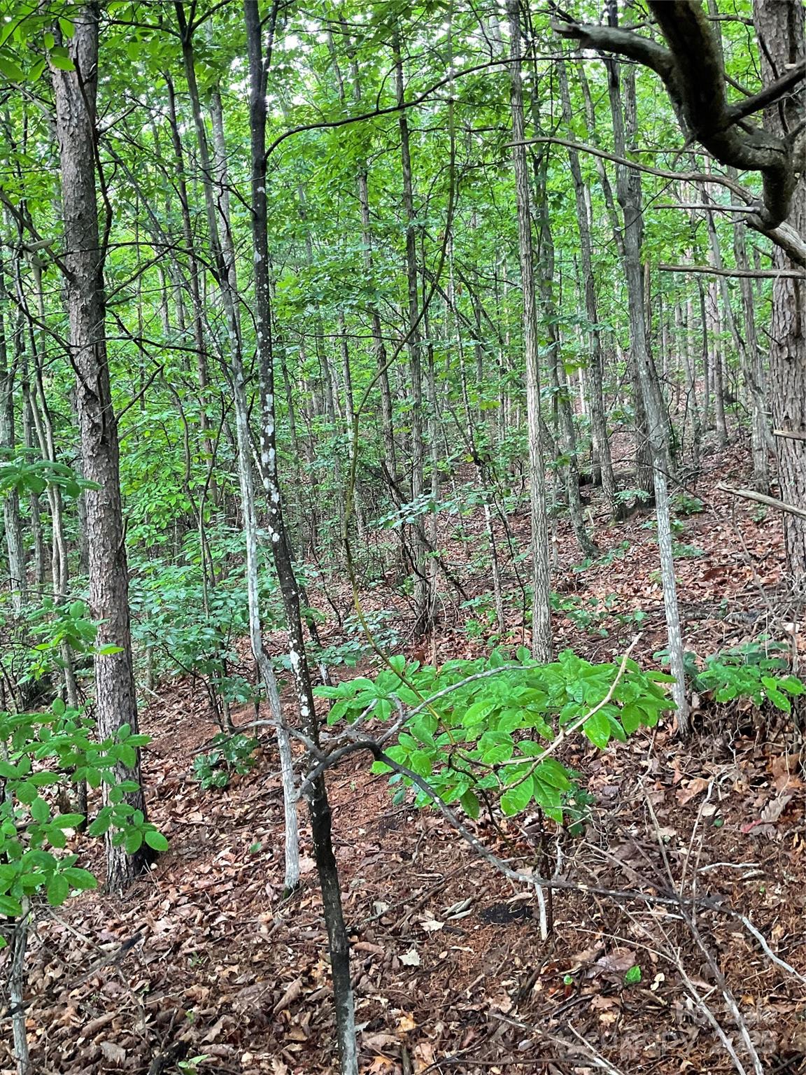 Pineknoll - Land