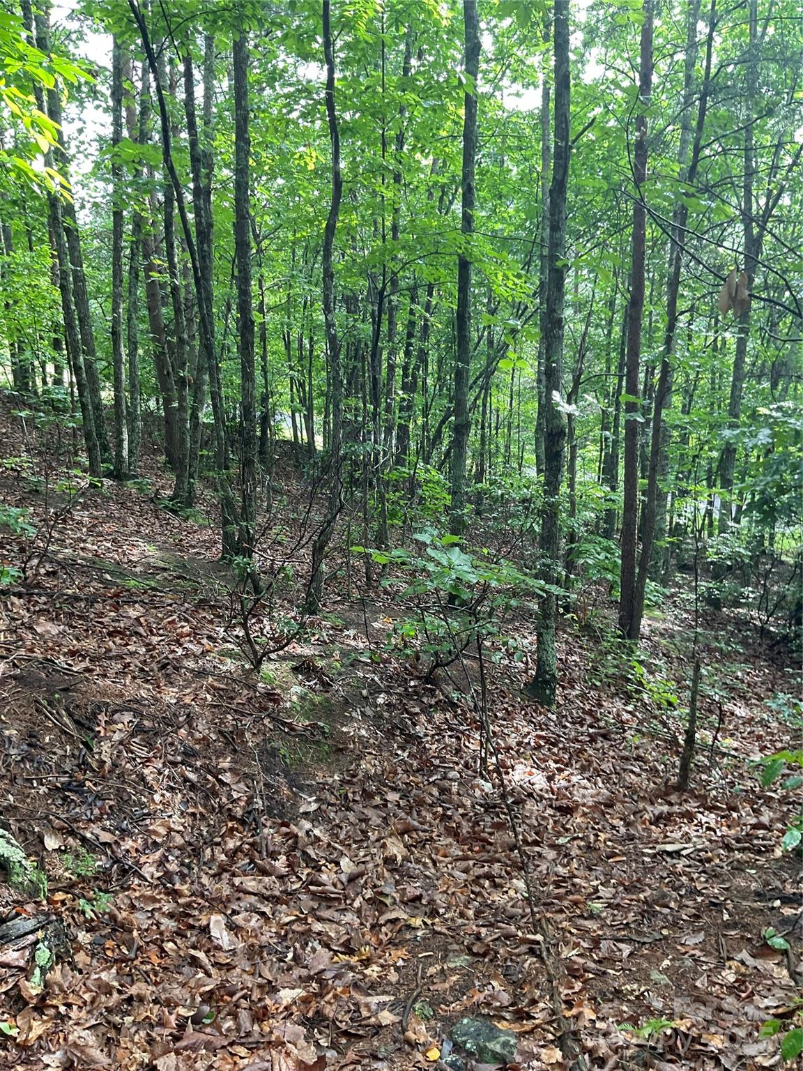 Pineknoll - Land
