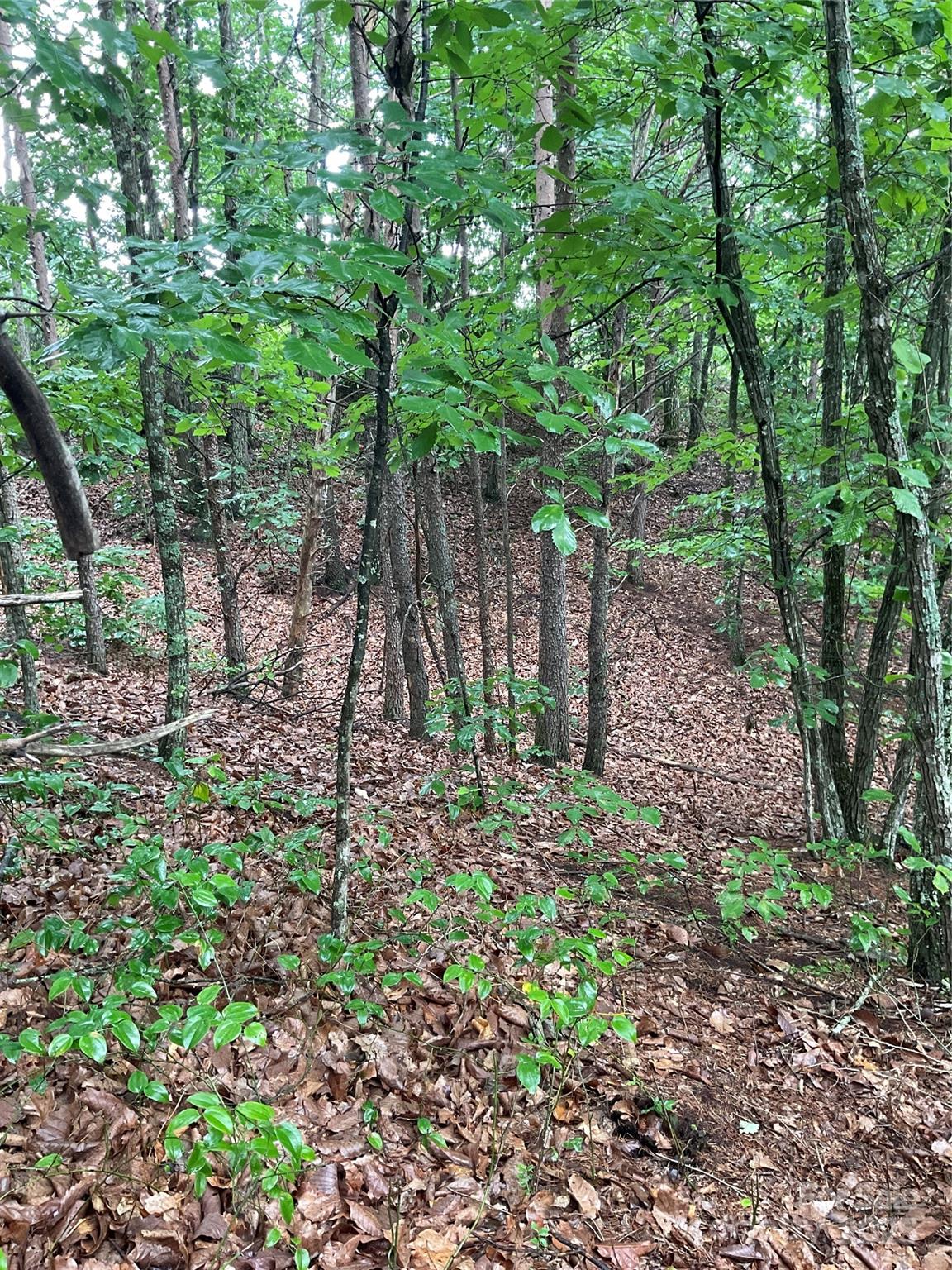 Pineknoll - Land