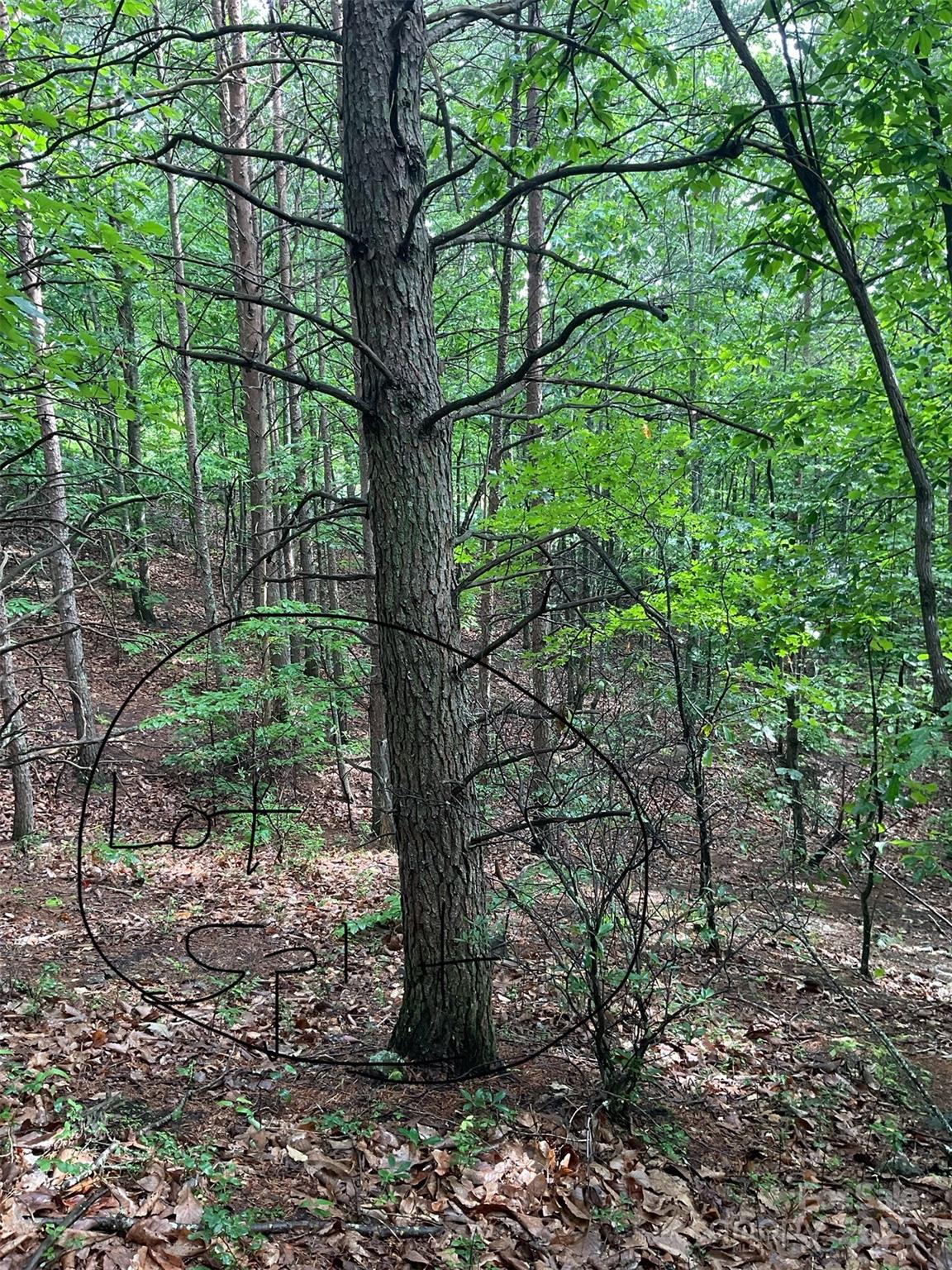 Pineknoll - Land