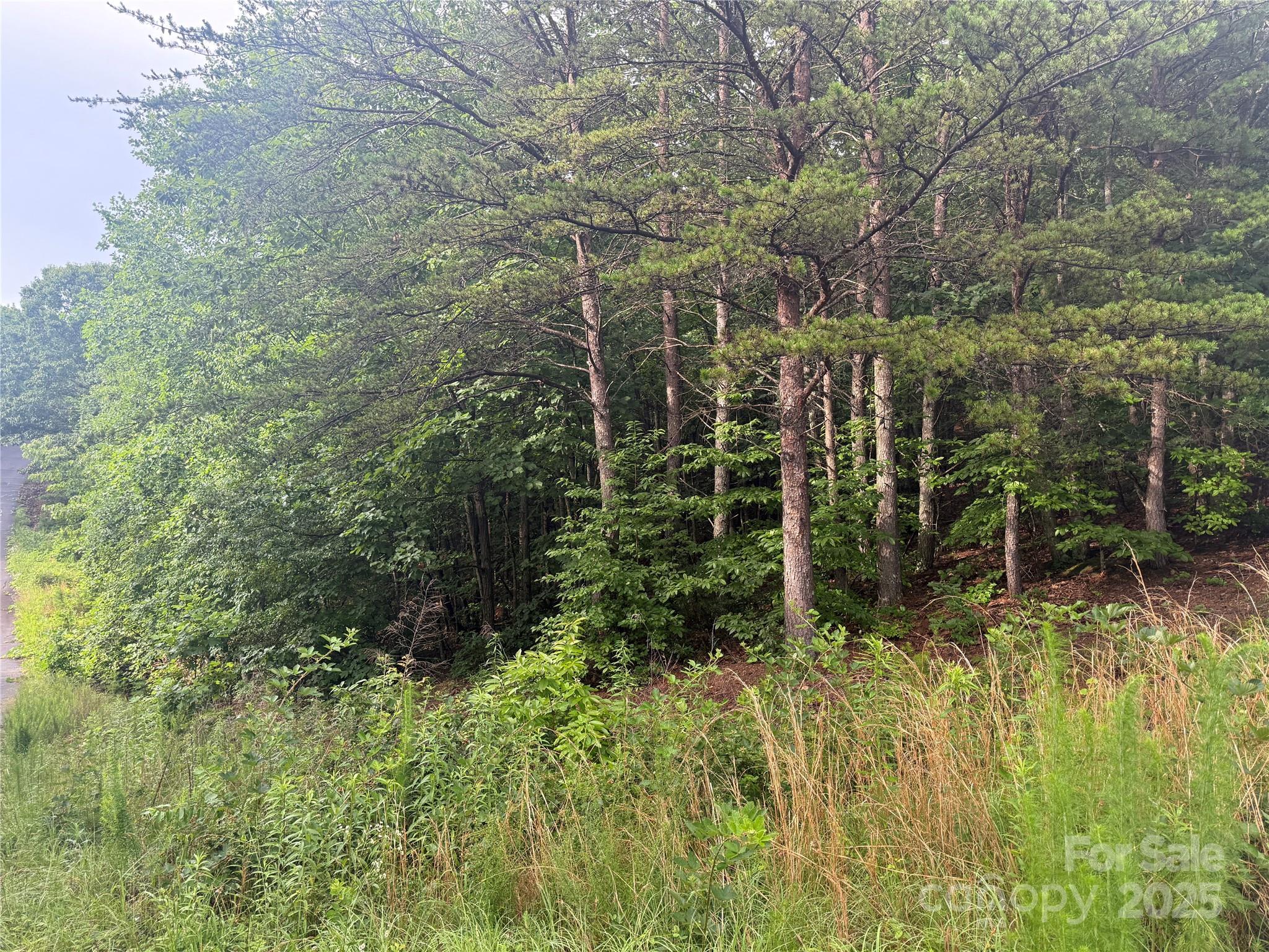 Pineknoll - Land