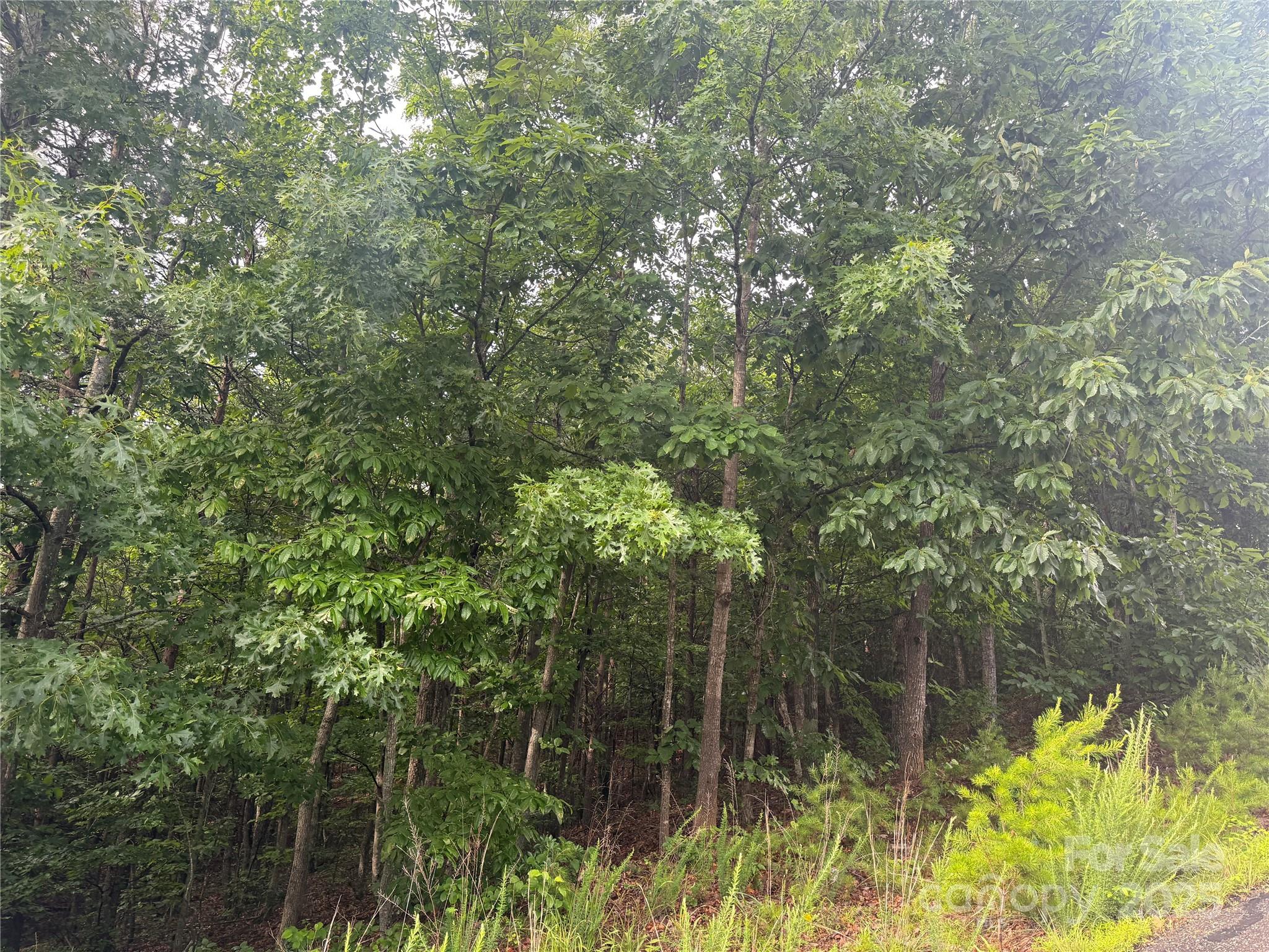 Pineknoll - Land