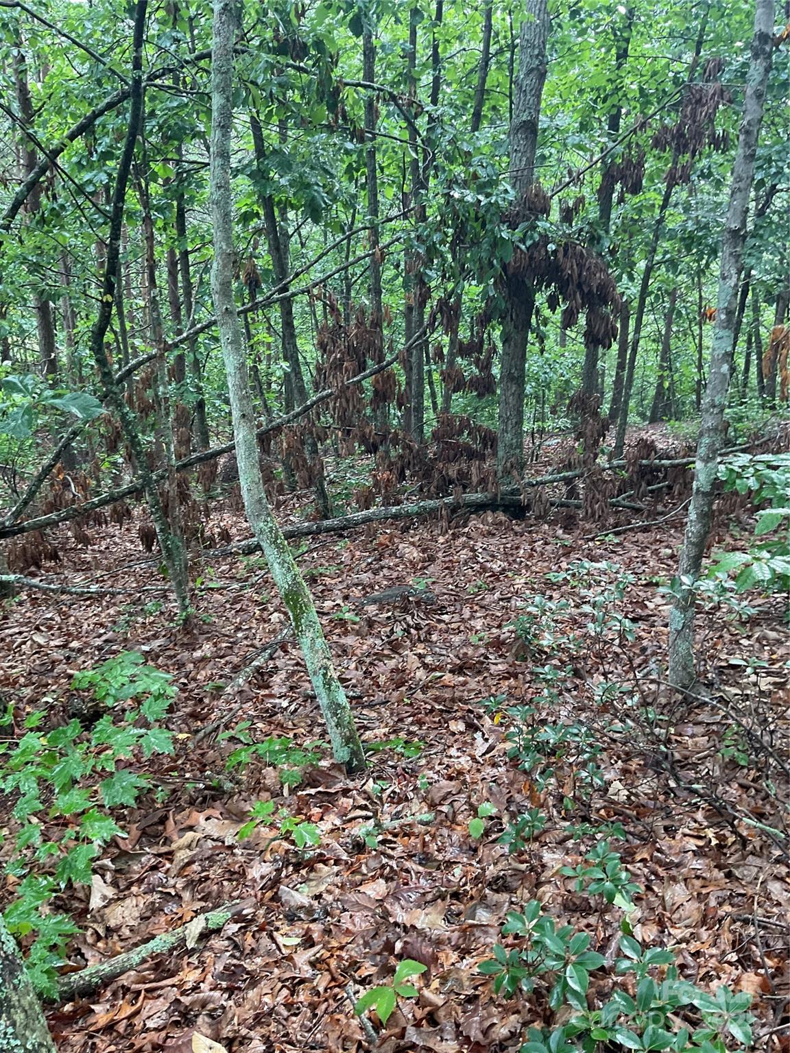Pineknoll - Land