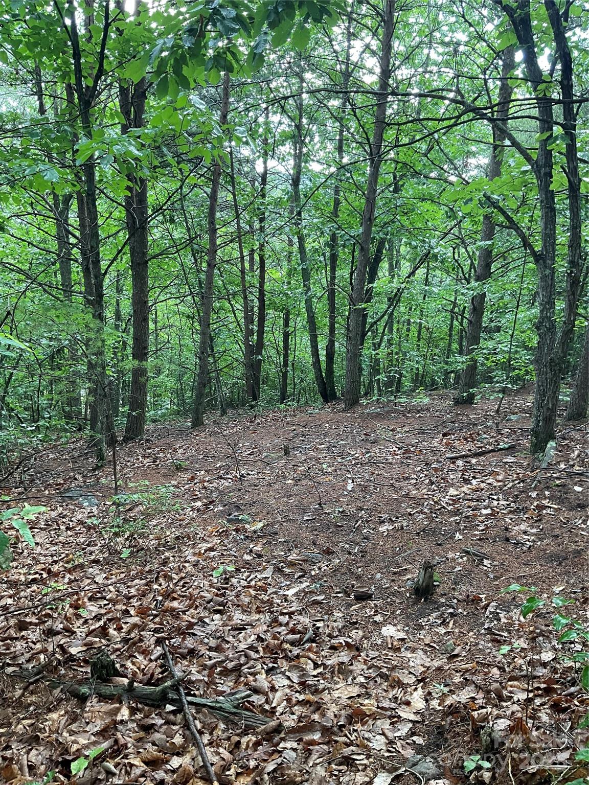 Pineknoll - Land