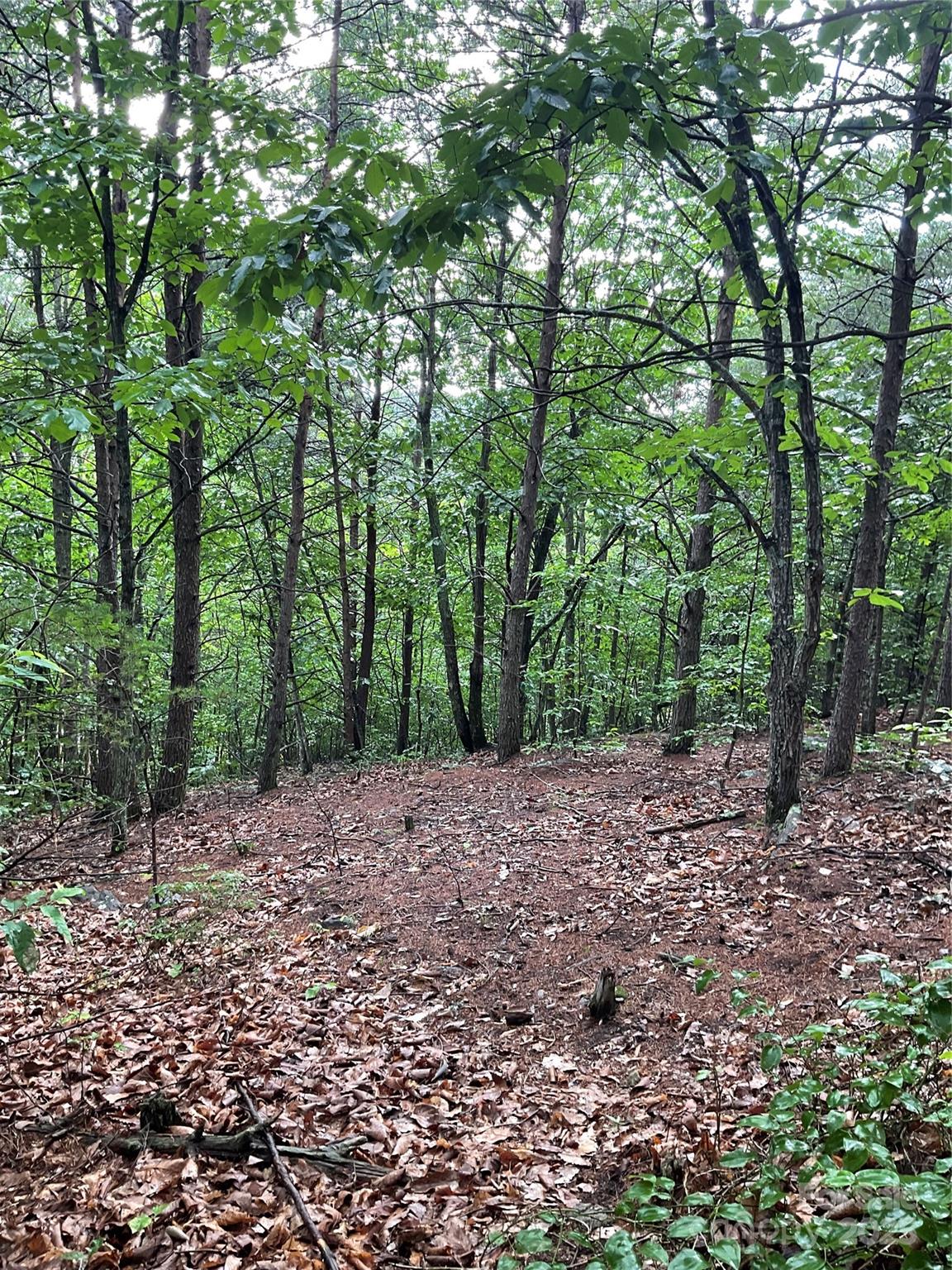 Pineknoll - Land