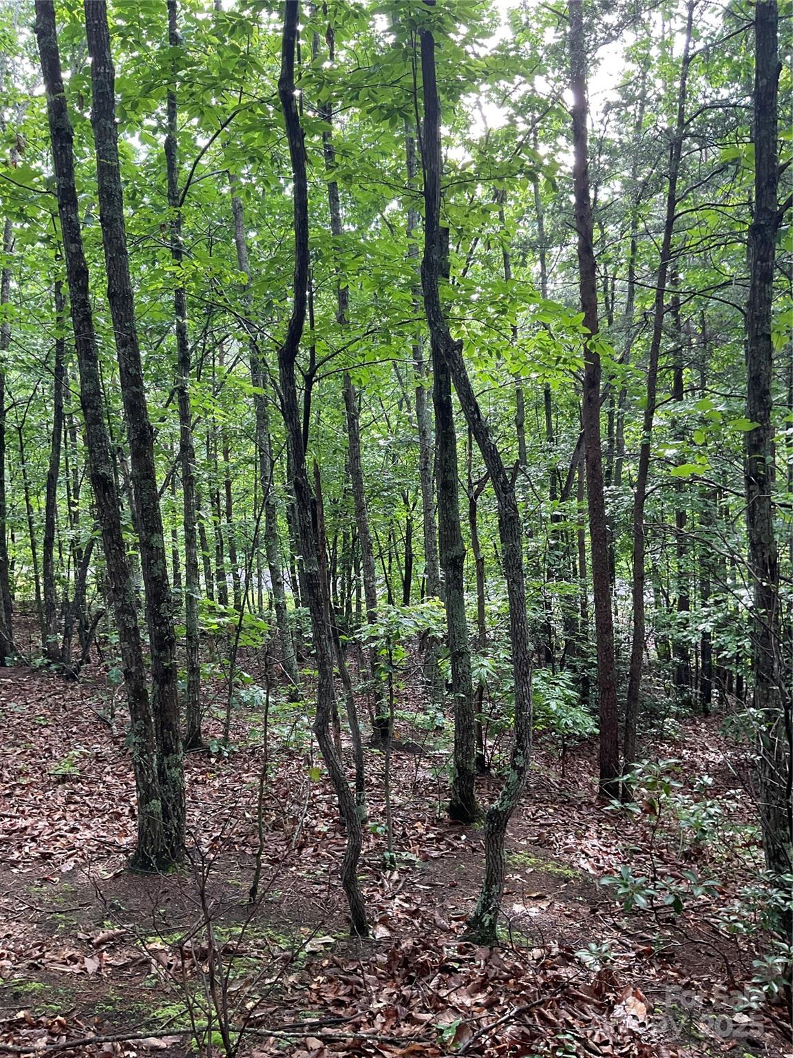 Pineknoll - Land