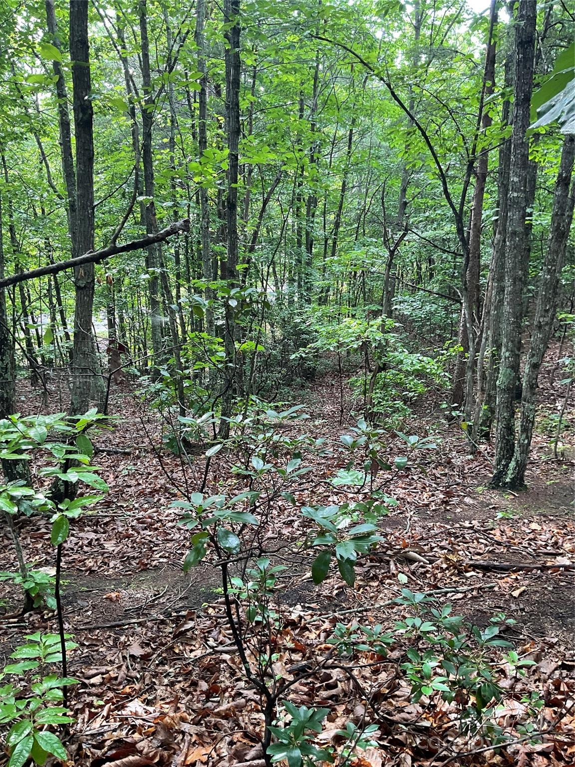 Pineknoll - Land