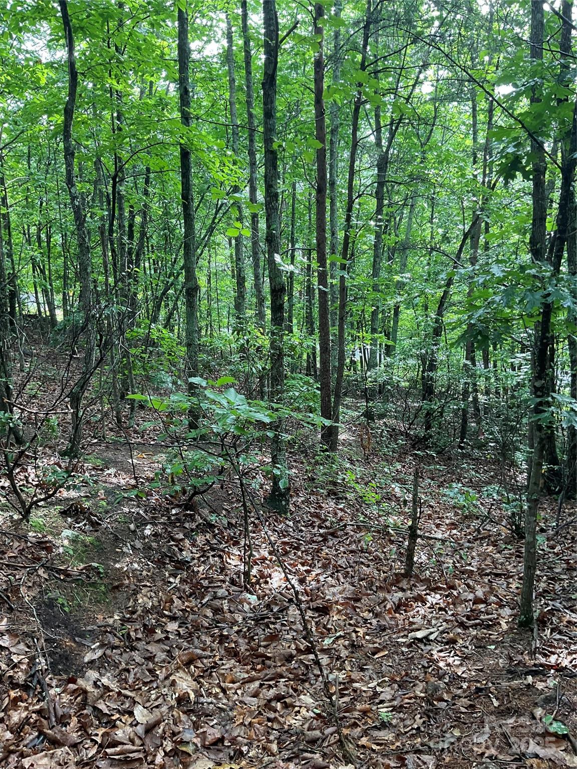 Pineknoll - Land