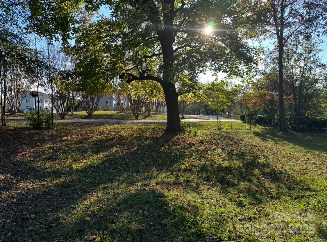 Regent Park - Land
