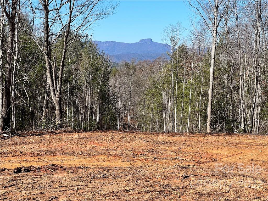 Old Oaks Estates - Land