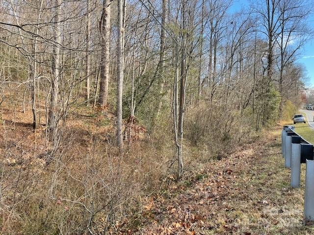 Vacant - Sloping - Wooded Acreage :  4.90 acres per deed - It has frontage on Hwy 70 and borders the creek on the west side of the property - The property has old growth timber - There are no restrictions so it is available for lots of use possibilities - Owner / Broker