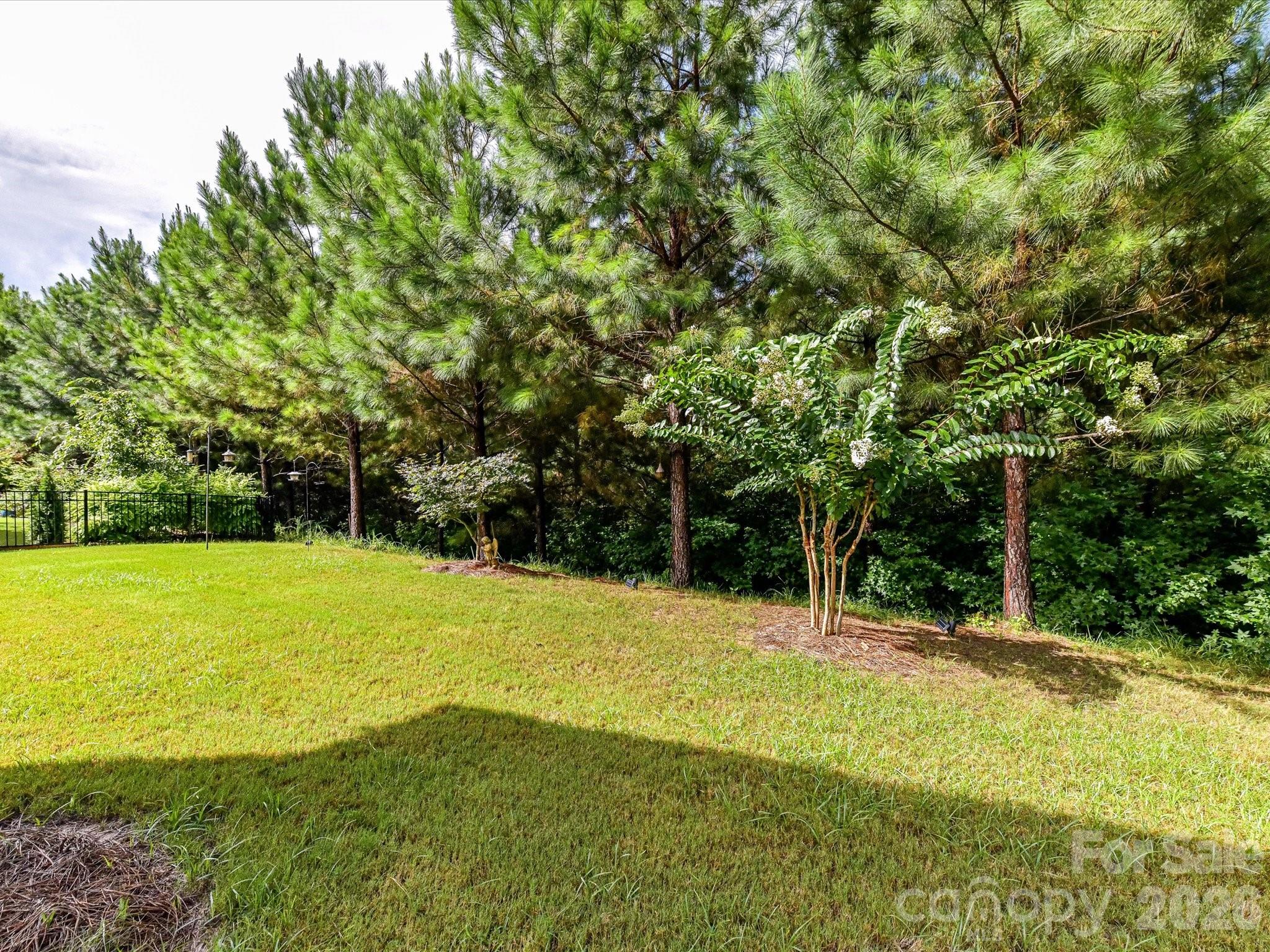 Tree Tops - Residential