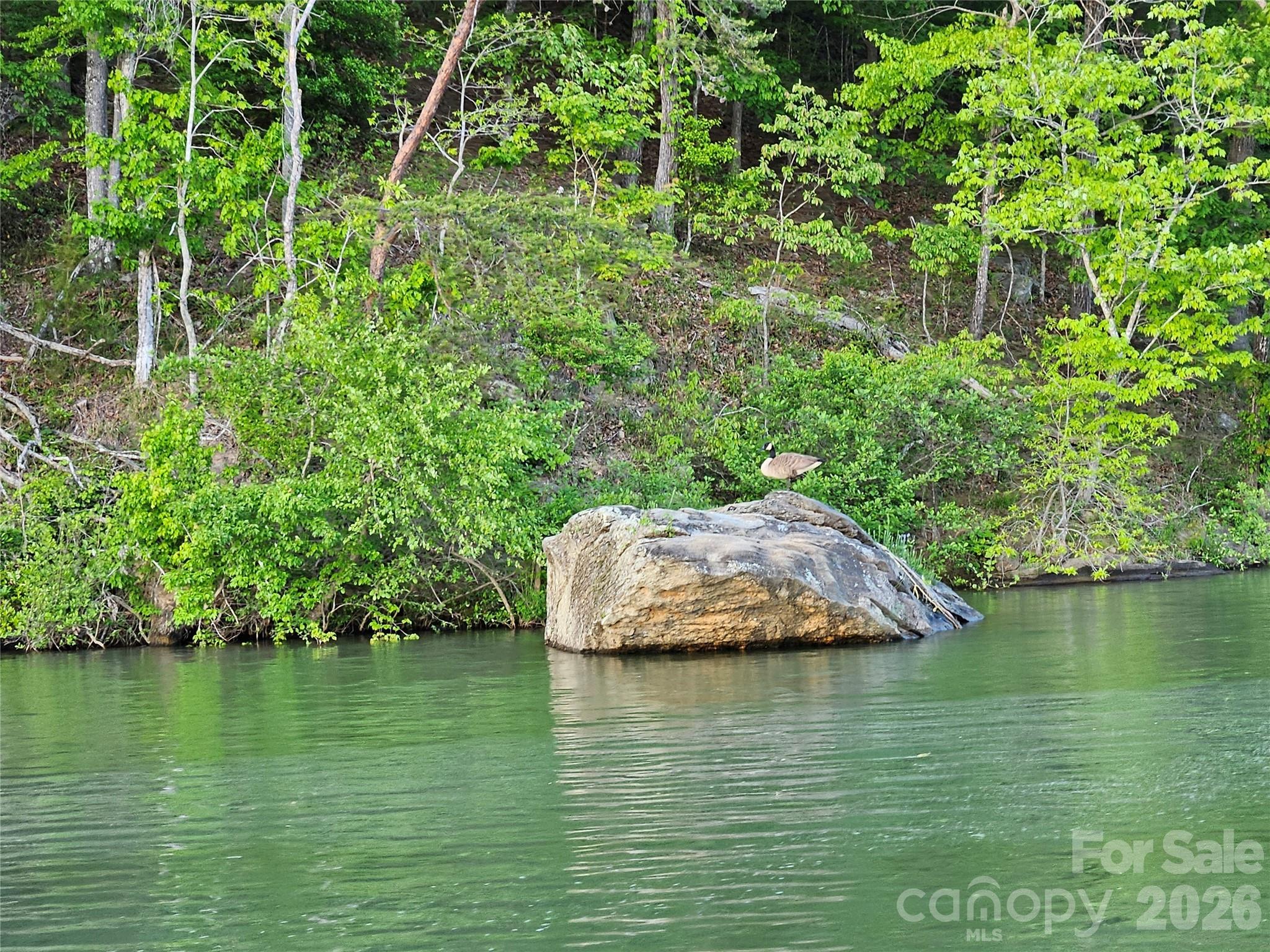 Lake Adger - Land