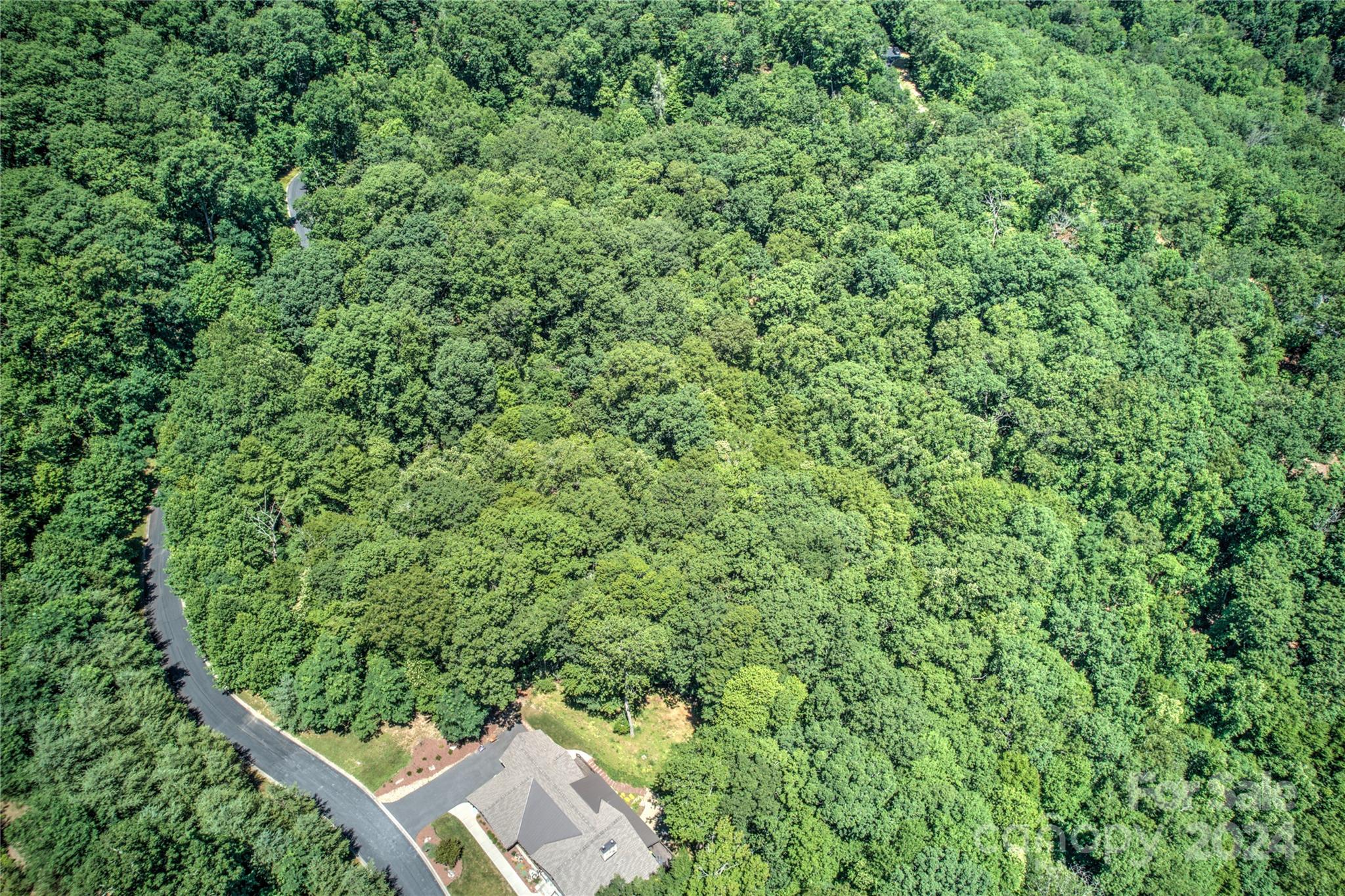 Large 2.42 acre  lot in the heart of Mills River in desirable Homestead at Mills River. 
This private gated community is a hidden gem with easy access to both Asheville and Hendersonville. Rhododendron and Mountain Laurel galore. Paved roads with beautiful wooded areas along the way. Underground utilities and natural gas are available. Club house is remote on 10+ acres along the riverfront. The Mills River area offers some of the finest trout streams, camping, hiking, and mountain biking in the WNC area—15 easy minutes to the Asheville Airport. Owners here have access to a 10 acre riverfront park and Club House at the Homestead River Reserve on the Mills River - a fly fishing playground!