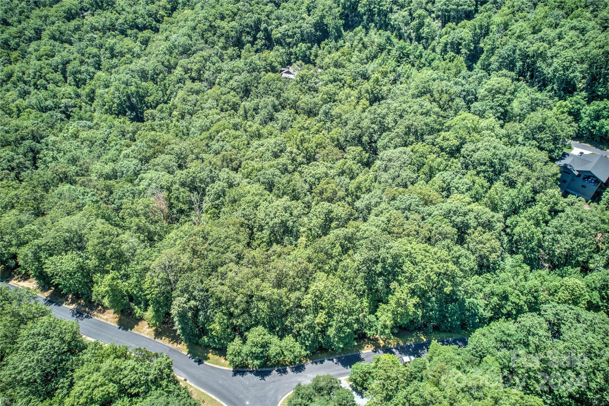 Homestead at Mills River - Land