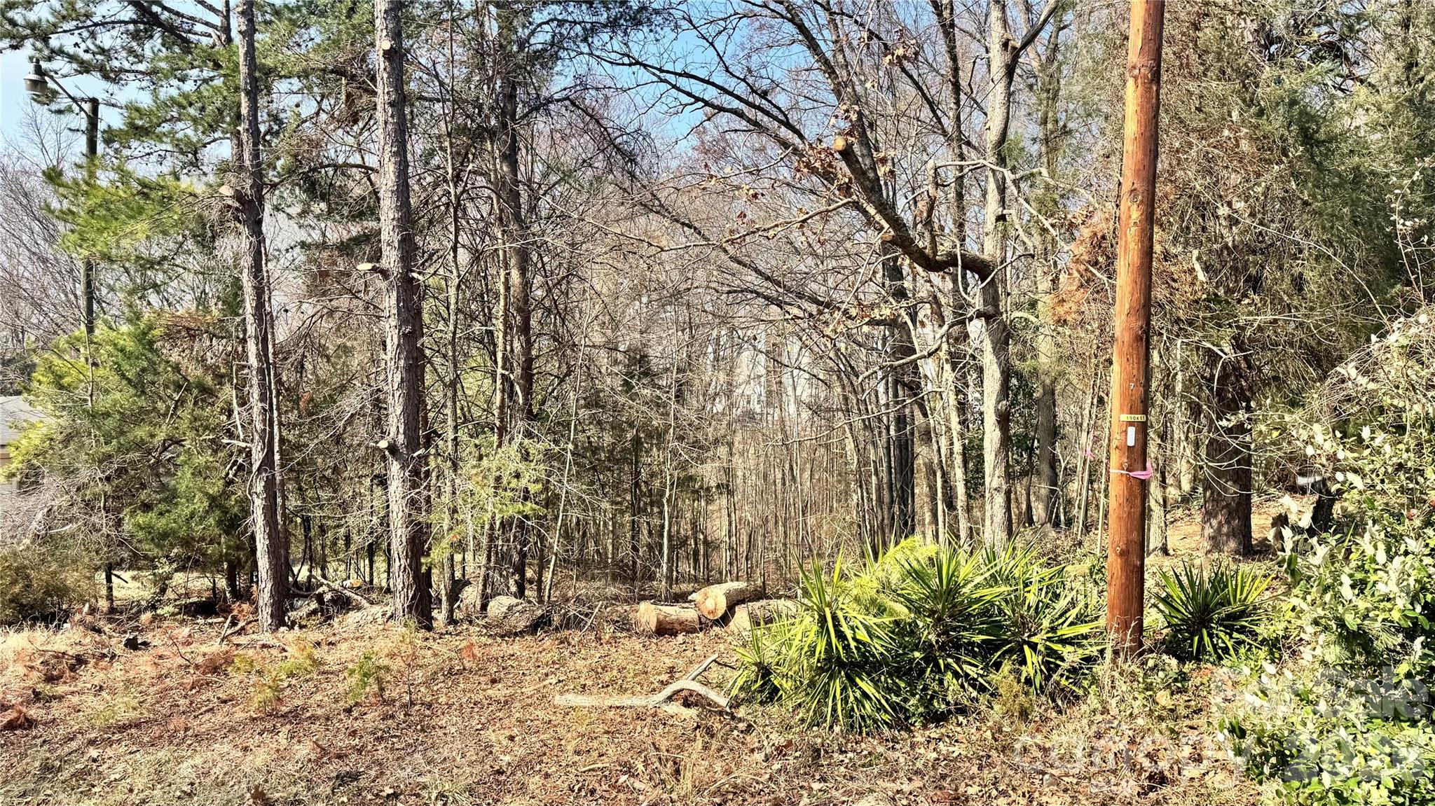 Welcome to this vacant lot located just minutes away from UNCC and Uptown Charlotte. It provides convenient access. The surrounding area is experiencing rapid growth, making it an excellent long-term investment opportunity. The N1-B zoning district allows for the construction of single-family homes, duplexes, and triplexes, making it an ideal location for builders, investors, or first-time ground-up projects.