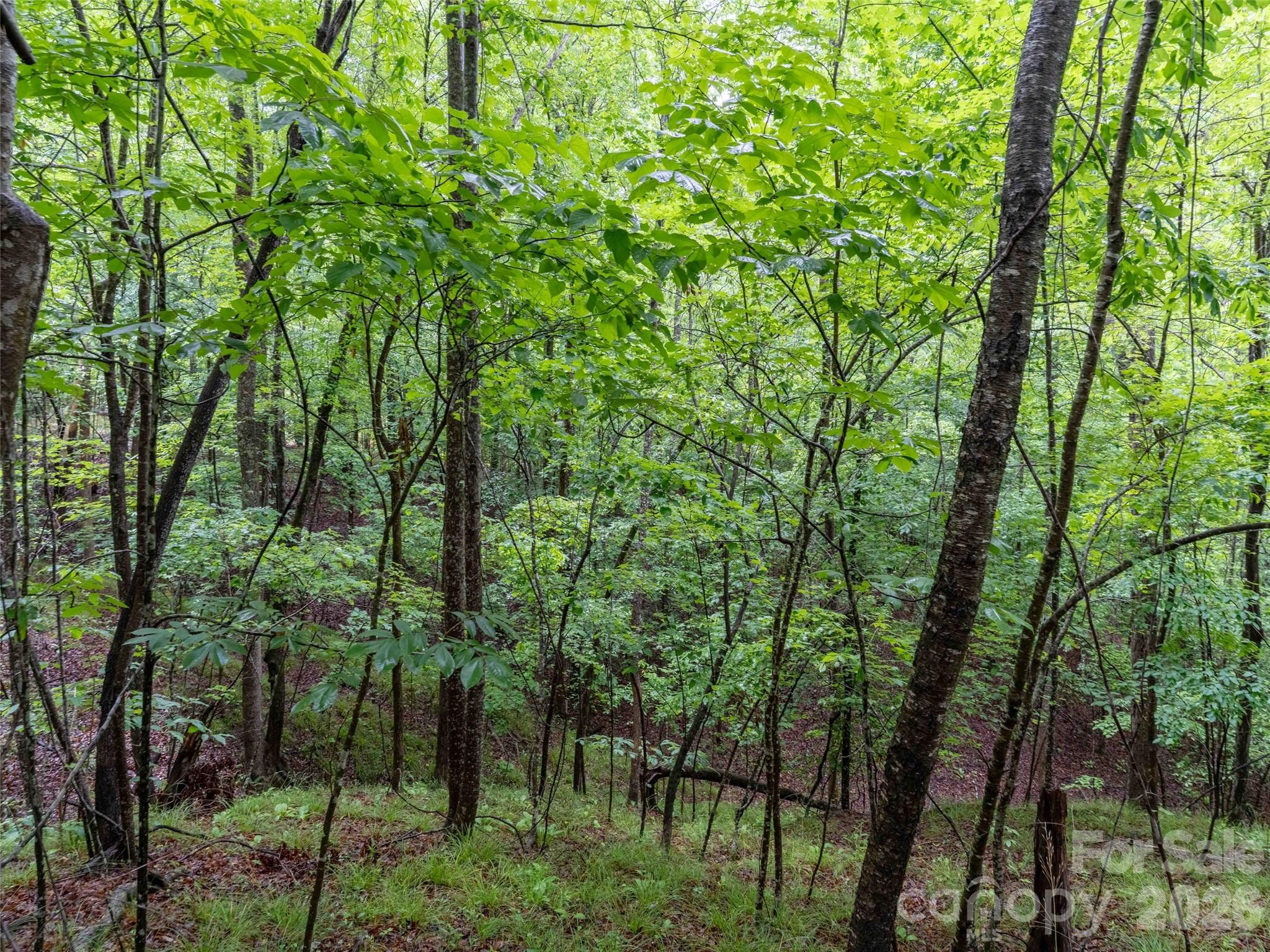 Green River Highlands - Land