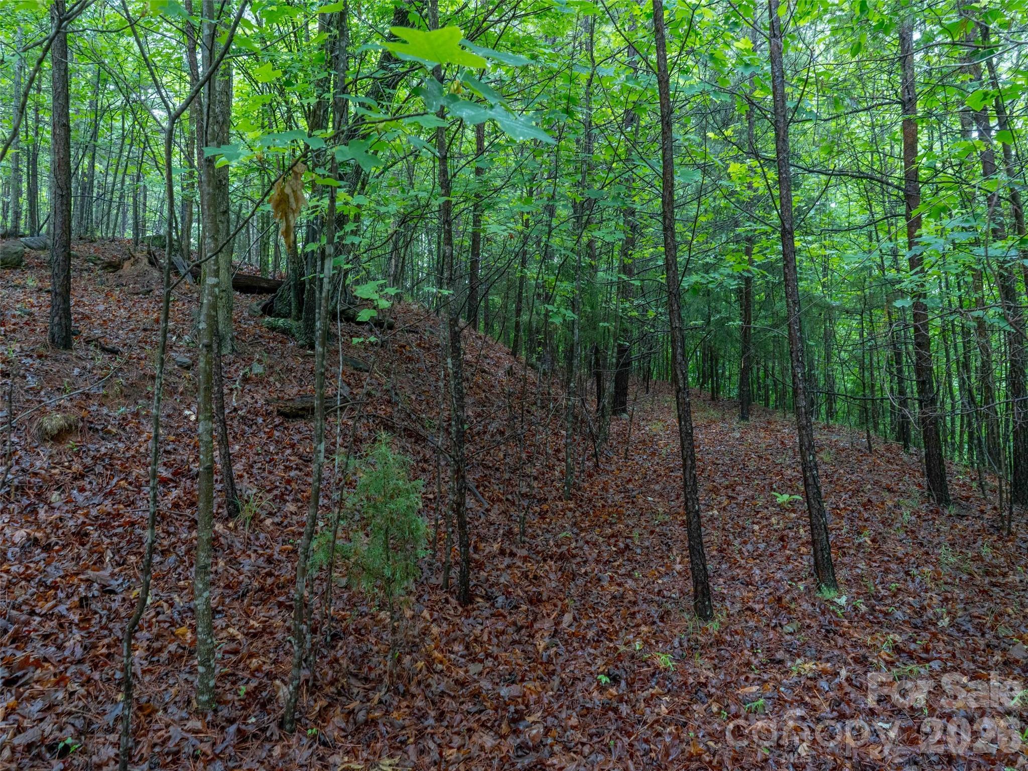 Green River Highlands - Land