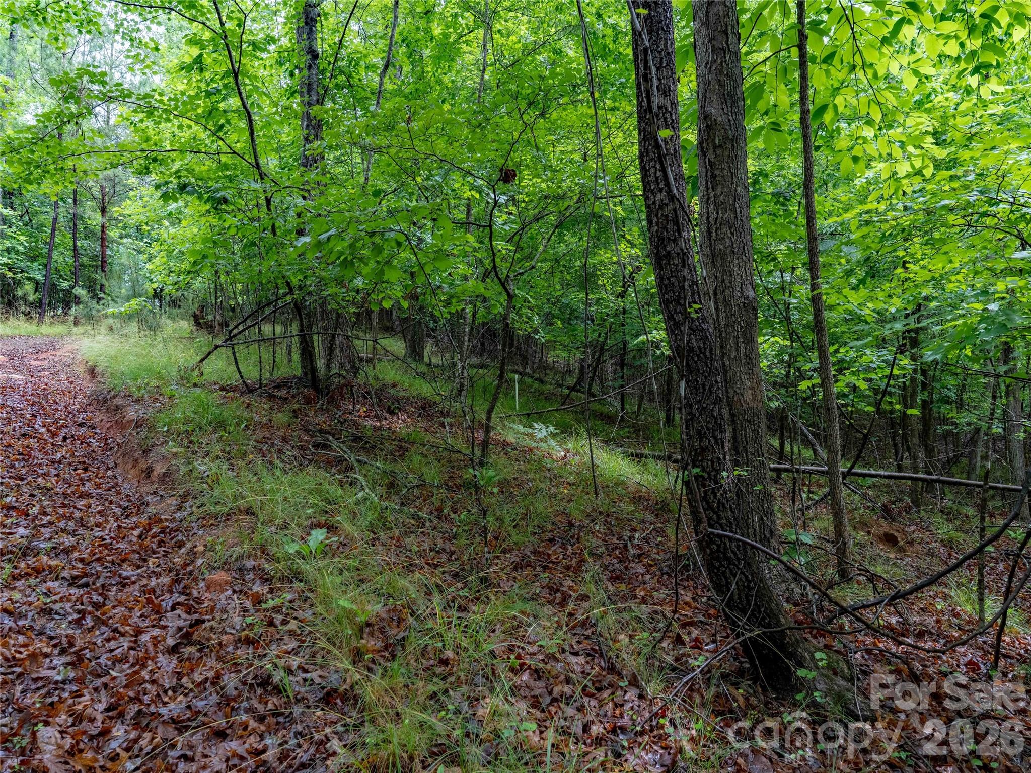 Green River Highlands - Land