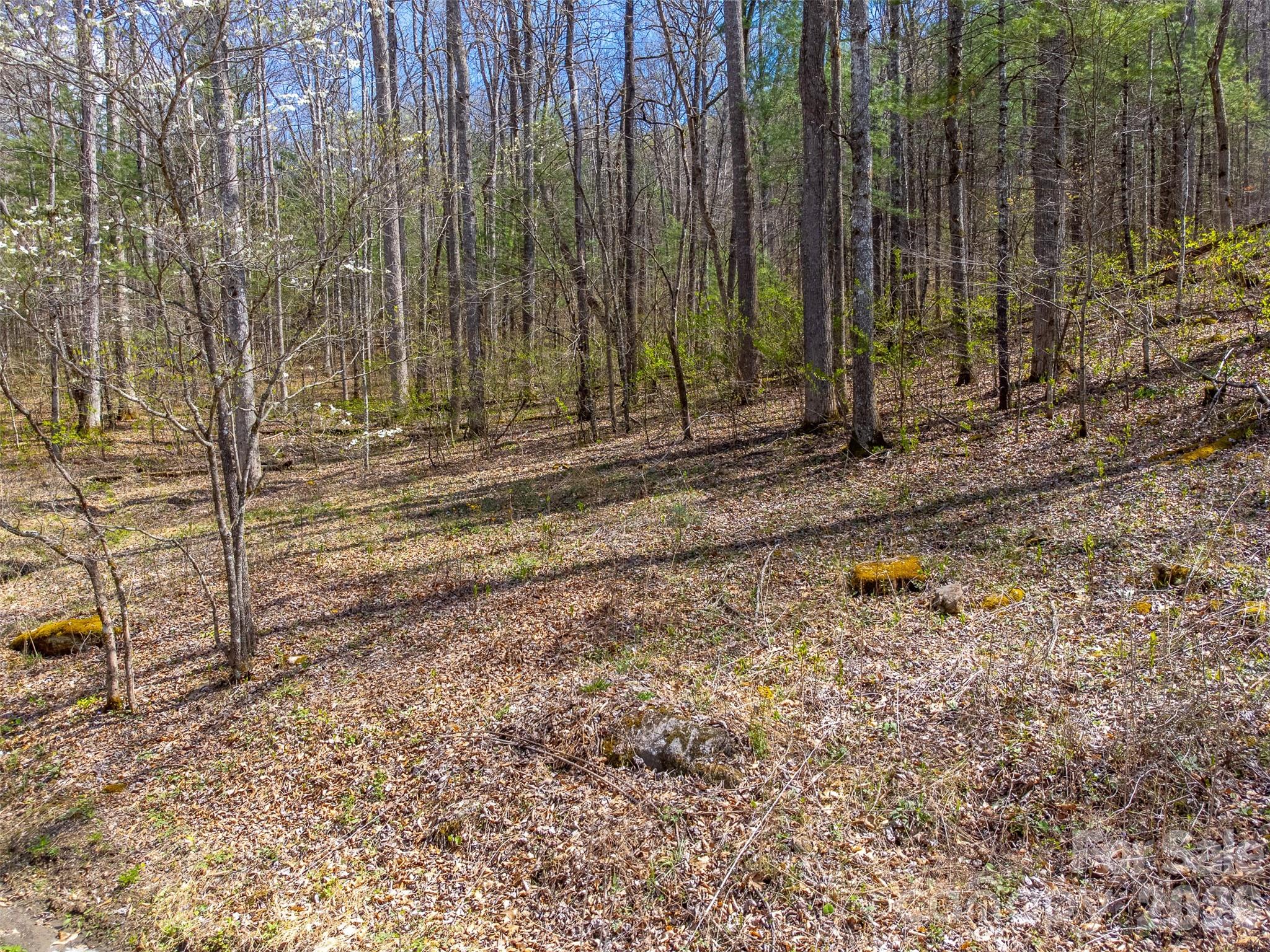 Cedar Creek - Land