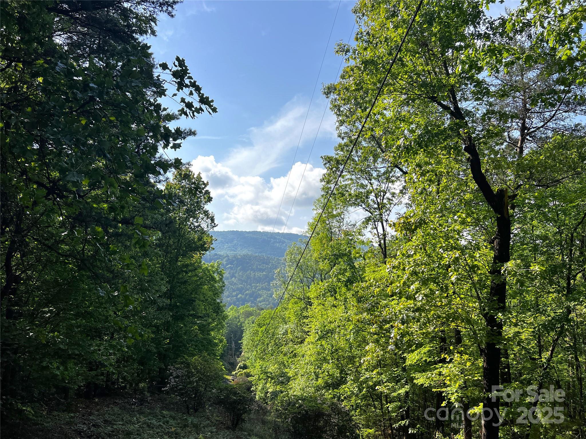 Round Mountain - Land