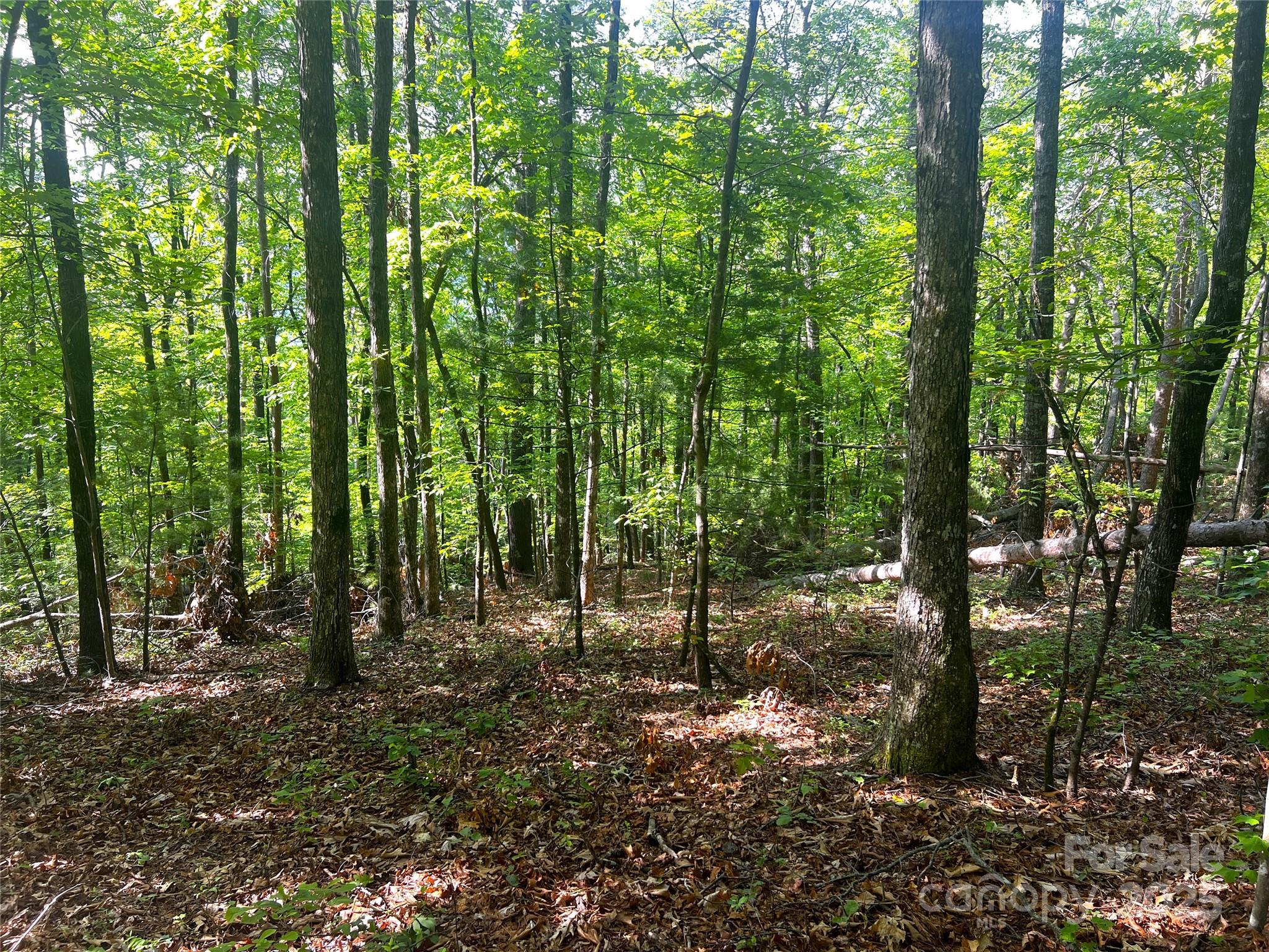 Round Mountain - Land