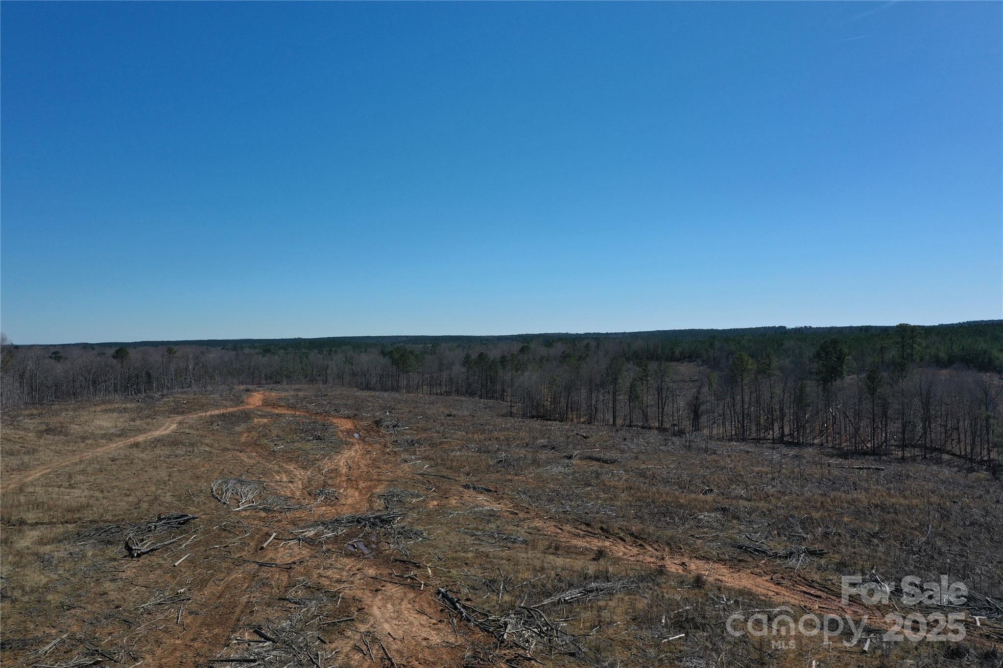 Located near Blackstock, SC this property offers an ideal mix of natural beauty and functional land.  The property features level/rolling topography, providing ample space for agricultural growing or pasture. Located less than 2 miles from Hwy 321 (Columbia Road), it's easily accessible yet maintains a sense of privacy. 2 wide, flowing creeks enhance the landscape, offering a valuable water source. With some work, the cleared land would be appealing for pasture/agricultural fields.  Deer signs are numerous making it a great hunting tract for those looking to enjoy outdoor pursuits in SC. An internal road system provides easy access across the entire tract.  Whether you're seeking a peaceful retreat or an agricultural investment, this property offers endless potential.  6+- acres including the old homesite will be surveyed off the original parcel. Aerial map showing what is being conveyed is included in the listing pictures. Access remains off Rambo Road.