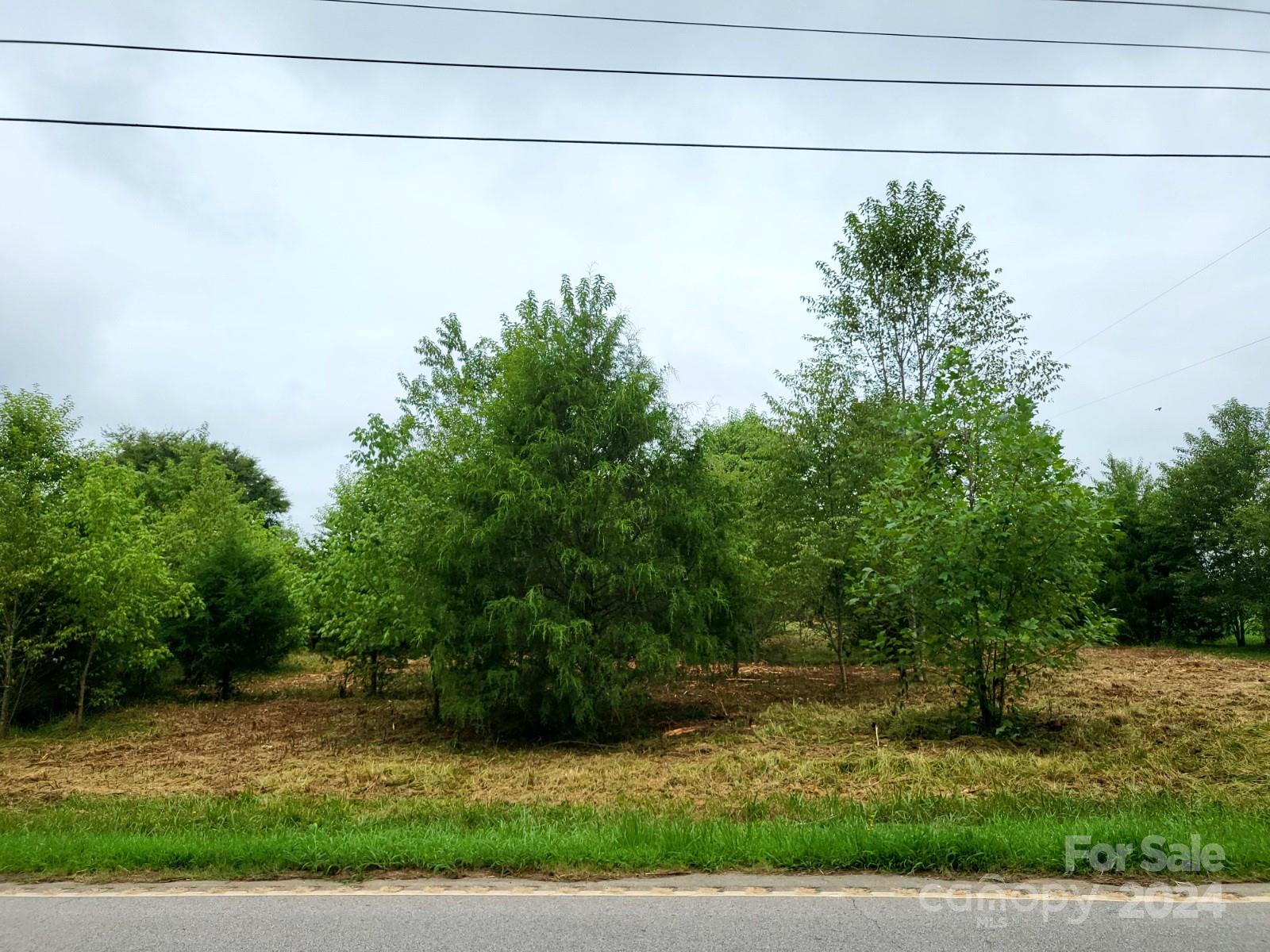 Grandview Estates - Land