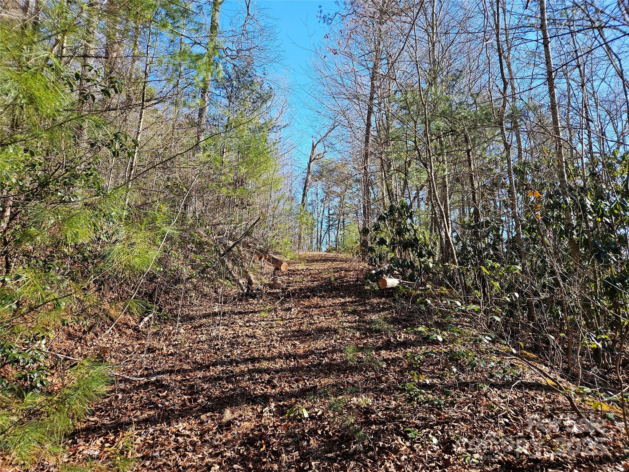 Twin Oaks Estate - Land