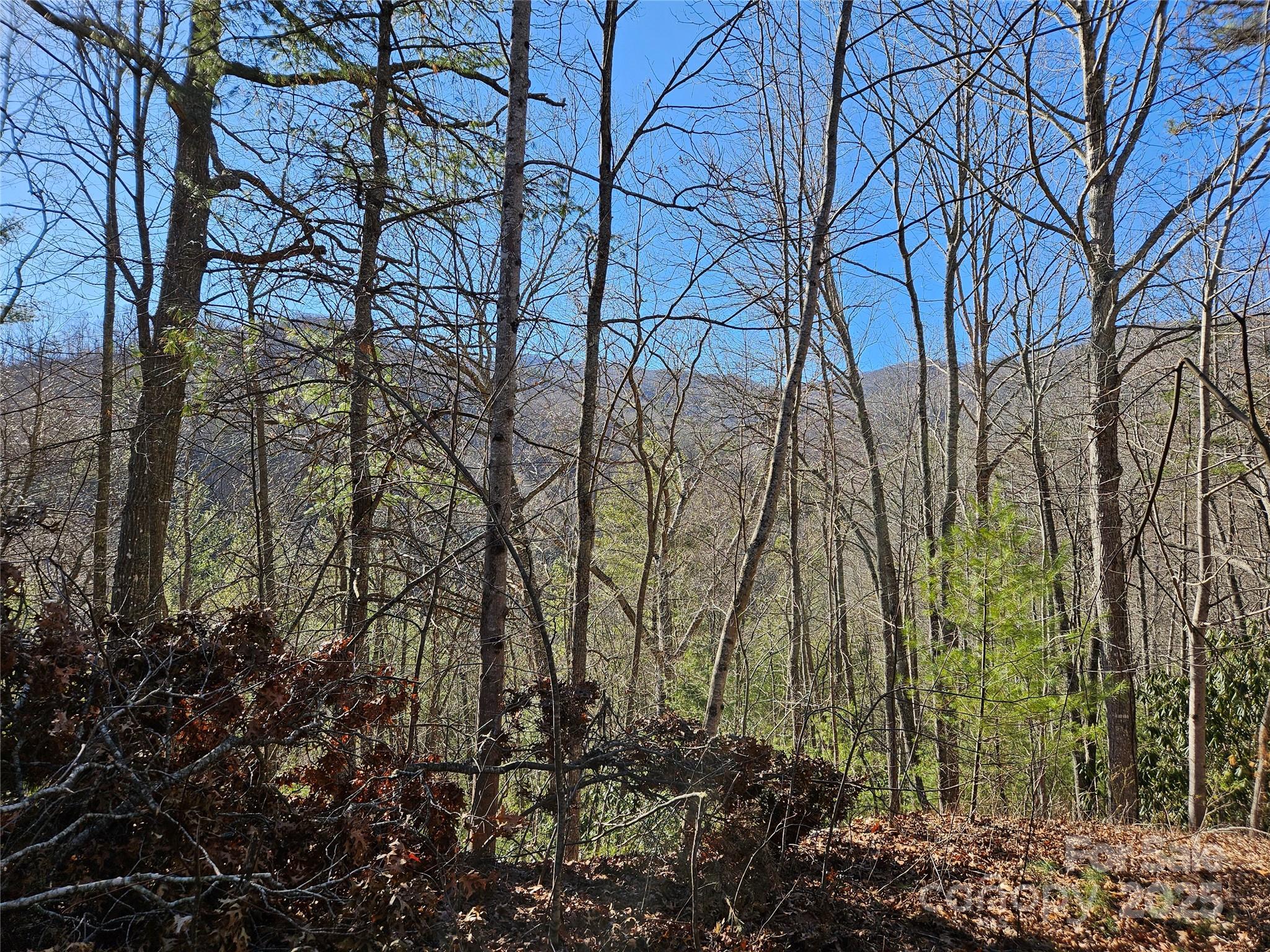 Twin Oaks Estate - Land