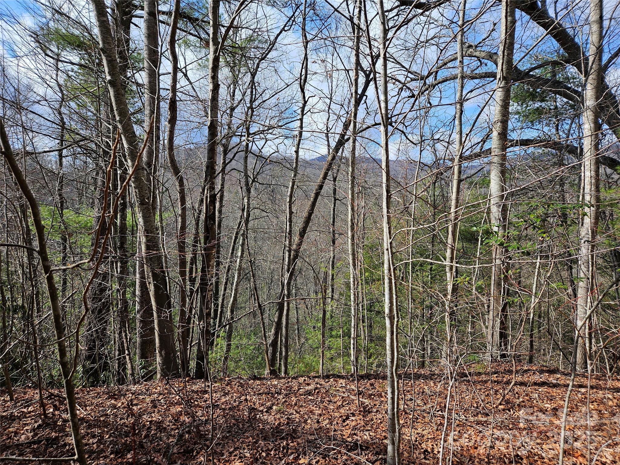Twin Oaks Estate - Land