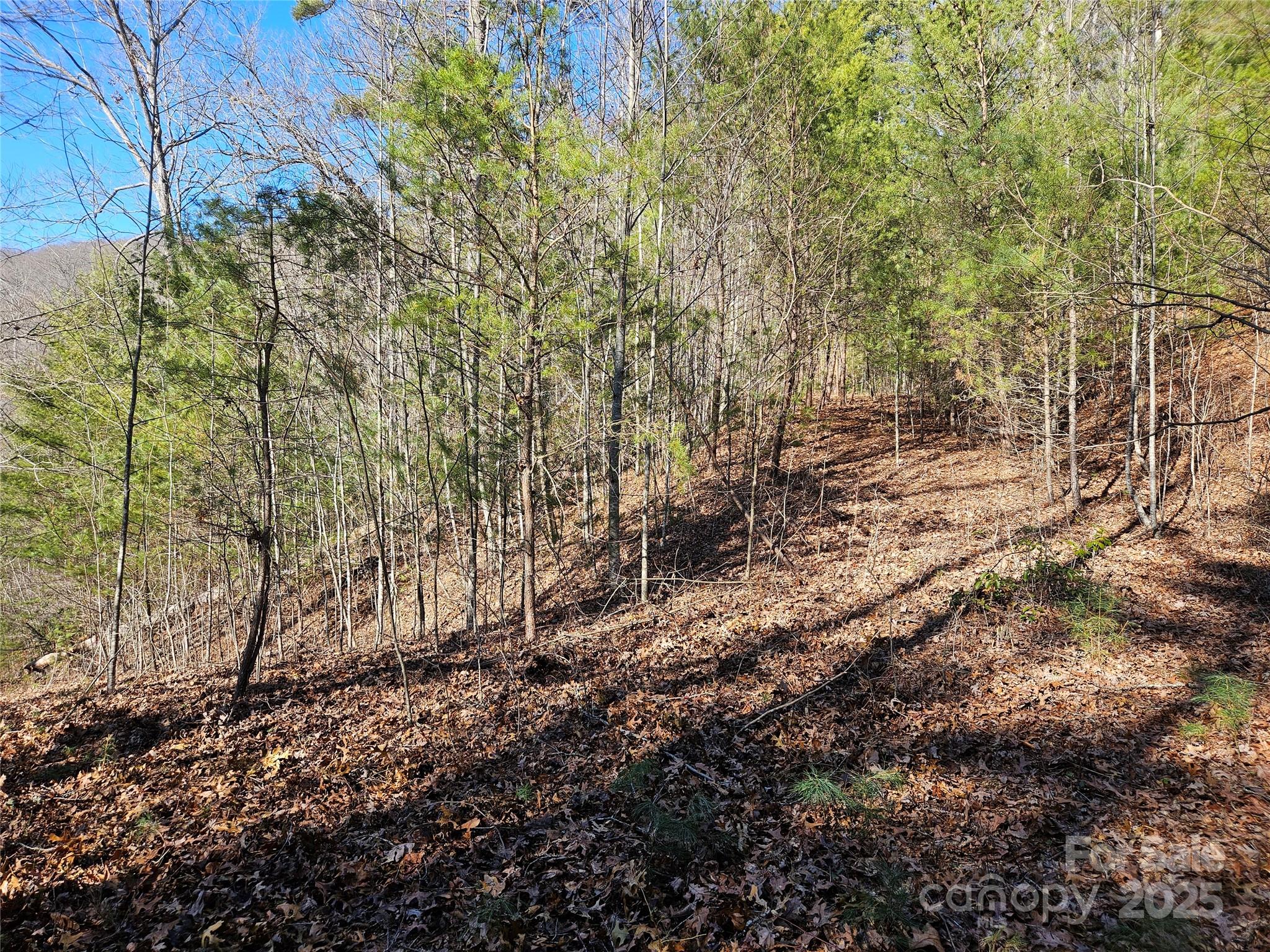 Twin Oaks Estate - Land