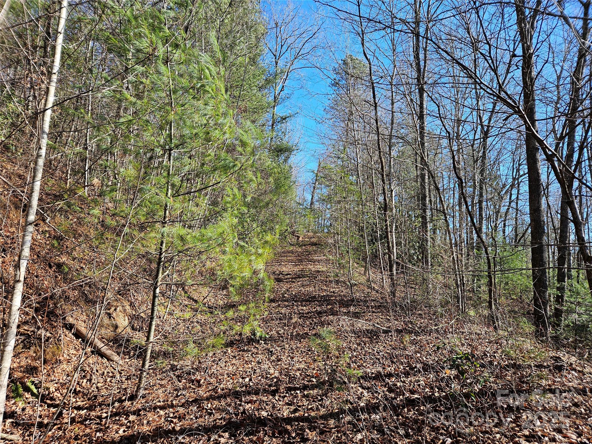Twin Oaks Estate - Land