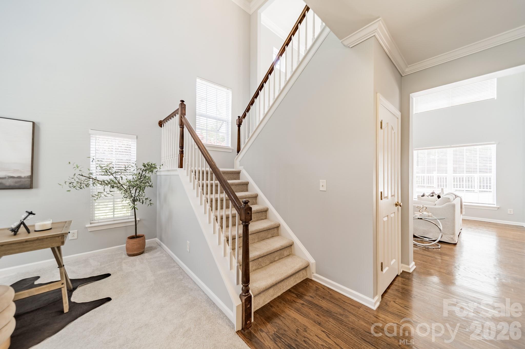 Brandon Oaks - Residential
