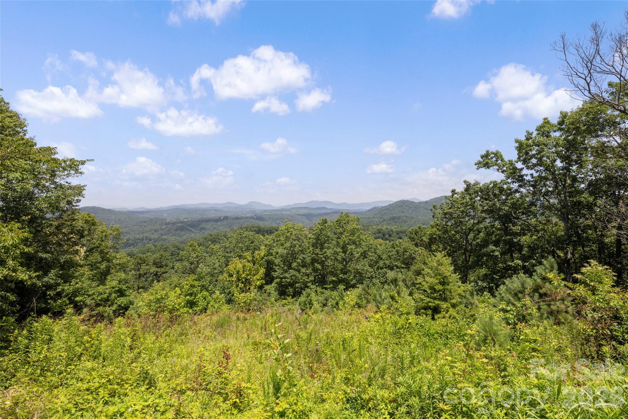 Laurel Mountain - Residential