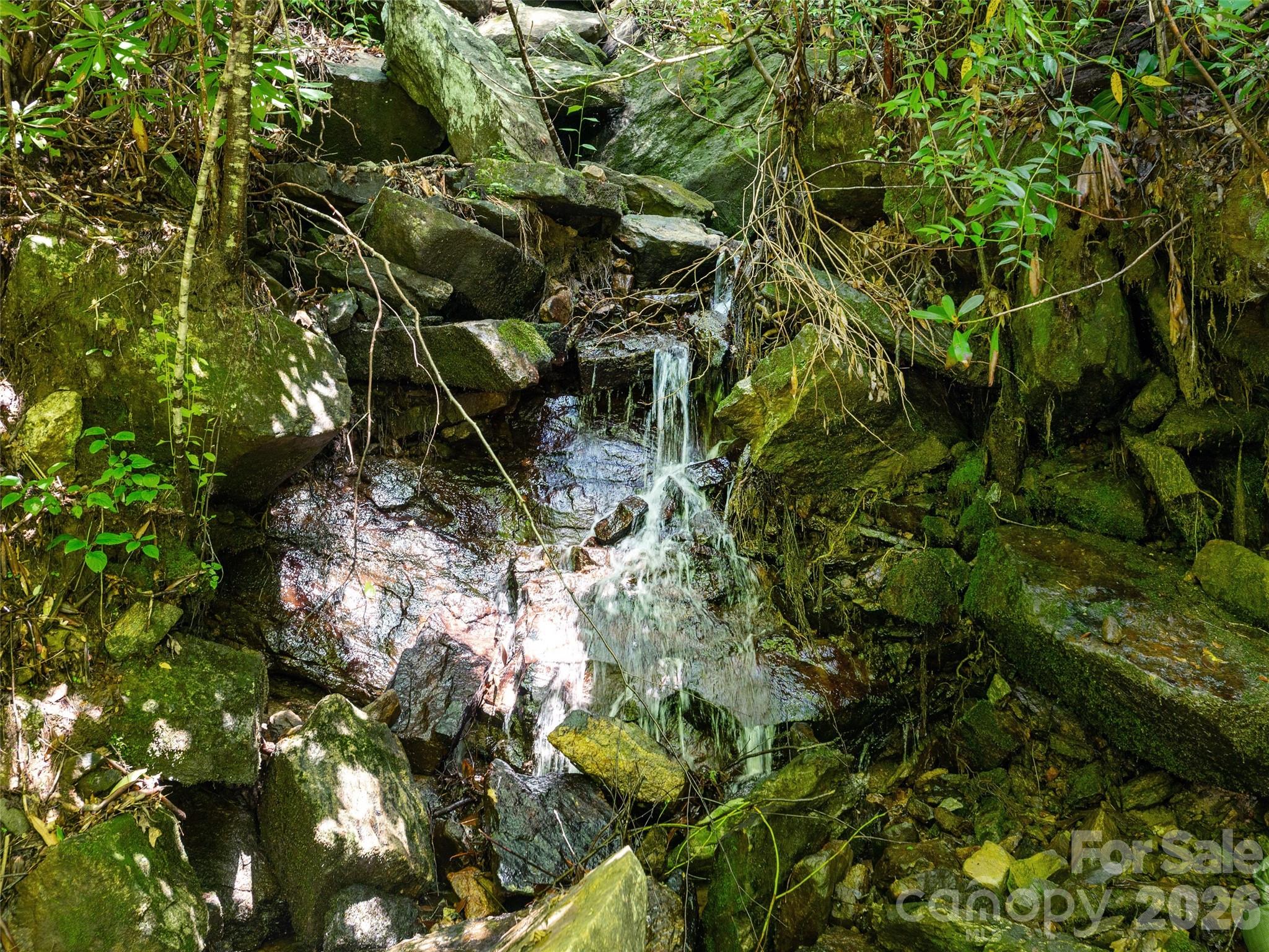 Willow Brook Falls - Land