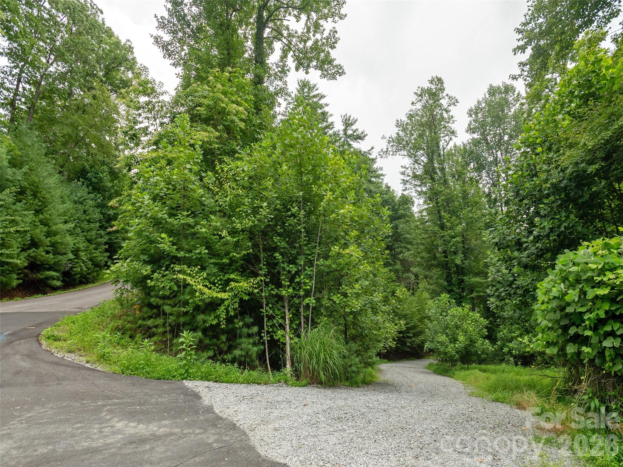 Willow Brook Falls - Land