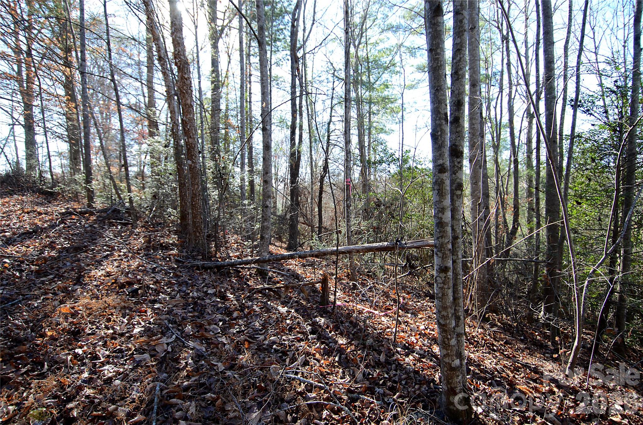 Situated in a great location, this 1.20-acre lot offers ample space to design and build your dream home.  This lot offers the best of both worlds- a peaceful setting away from the hustle and bustle, yet close to all amenities.  This lot includes access to utilities such as electricity, gas, and internet.  Don't miss out on this opportunity to own this great lot and build the home you've always envisioned.  Contact us today to schedule a viewing and start turning your dreams into a reality!