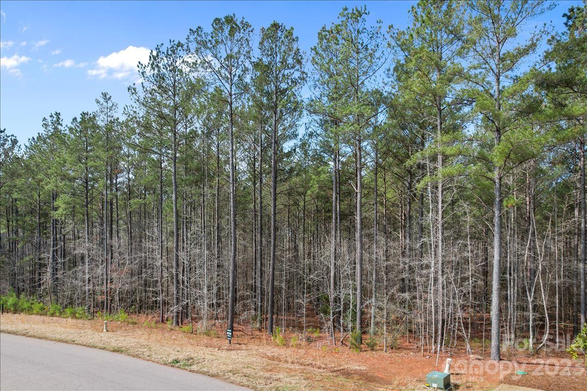 Riverchase Estates - Land