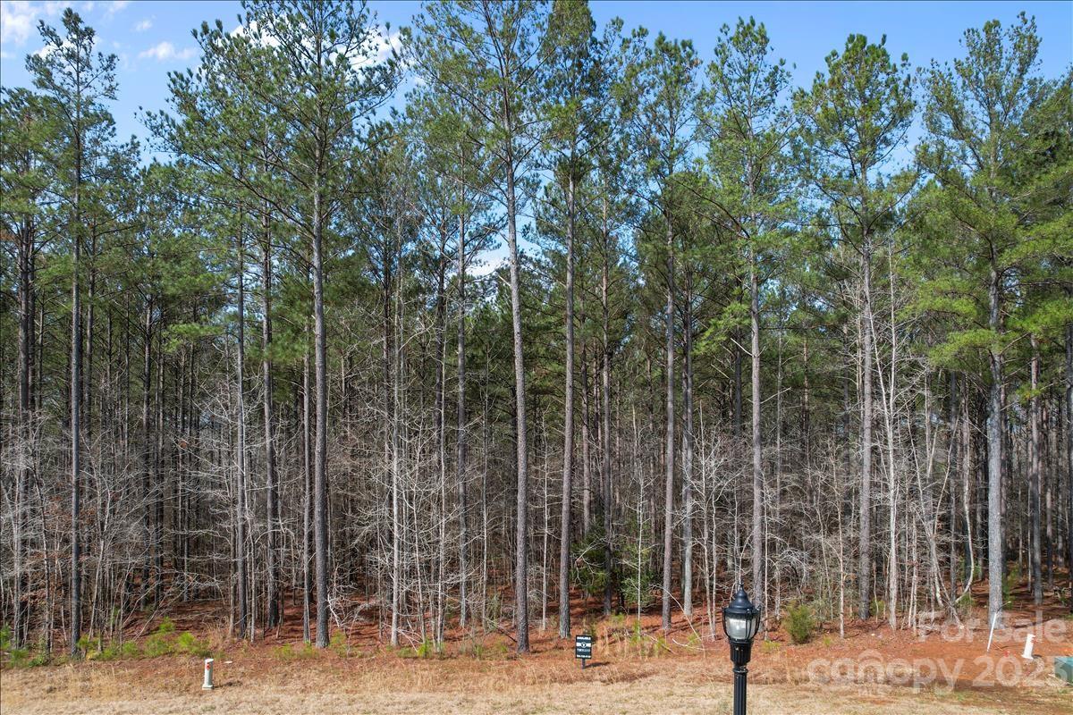 Riverchase Estates - Land