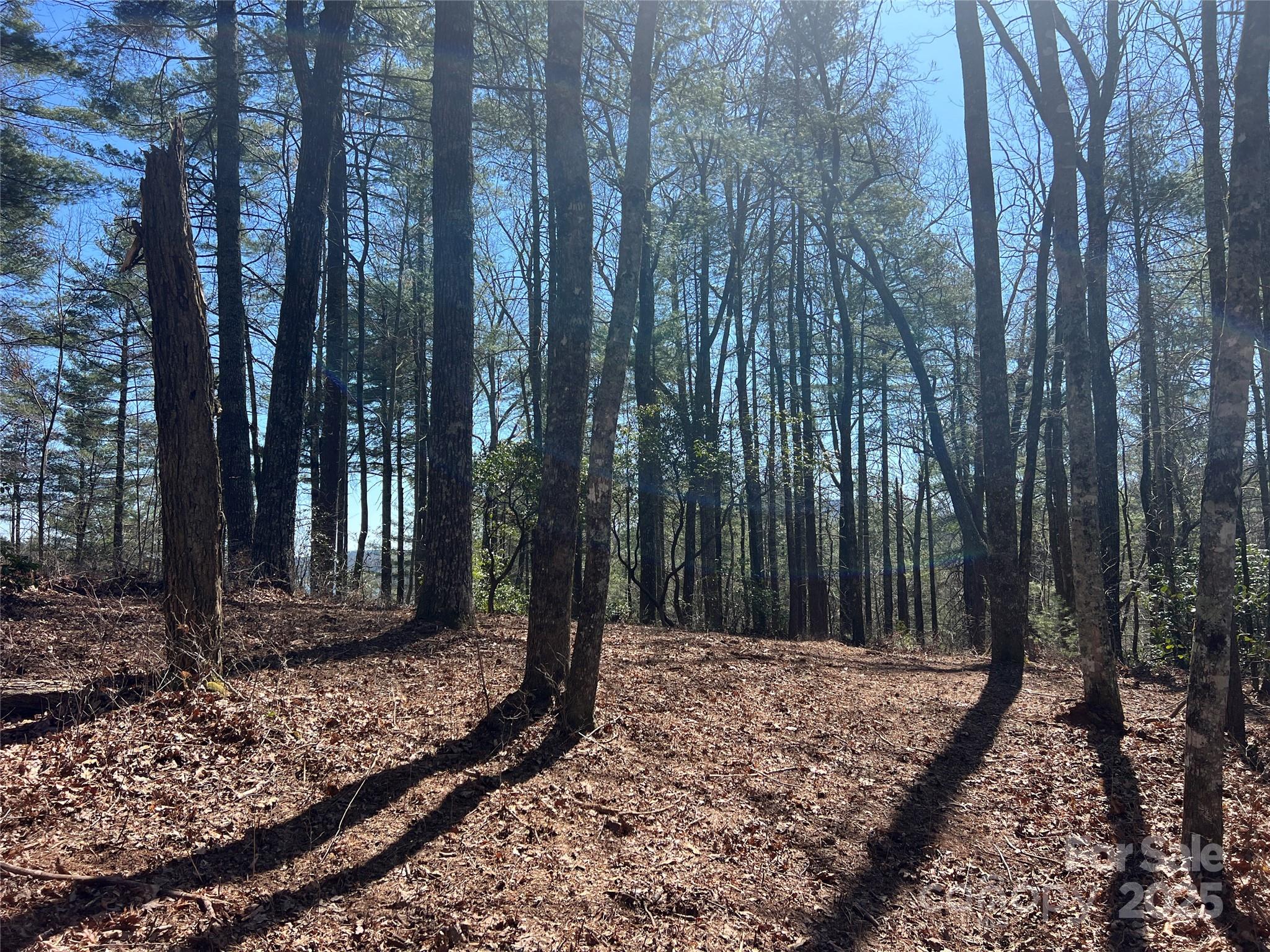 Lake Toxaway Estates - Land