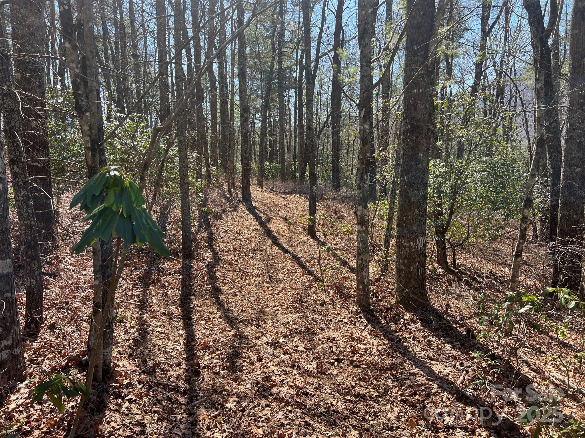 Lake Toxaway Estates - Land